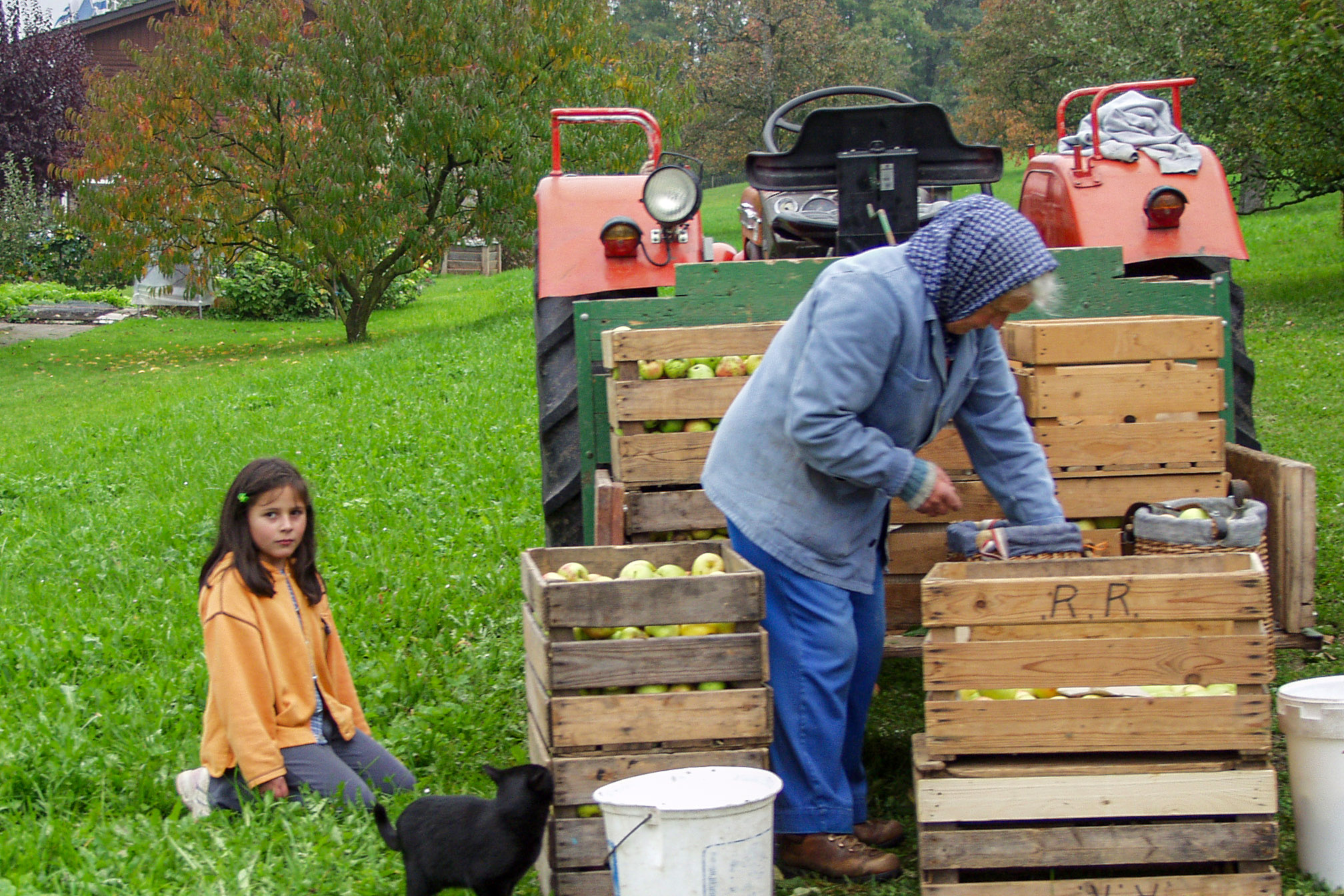 20021011165612 PA110115