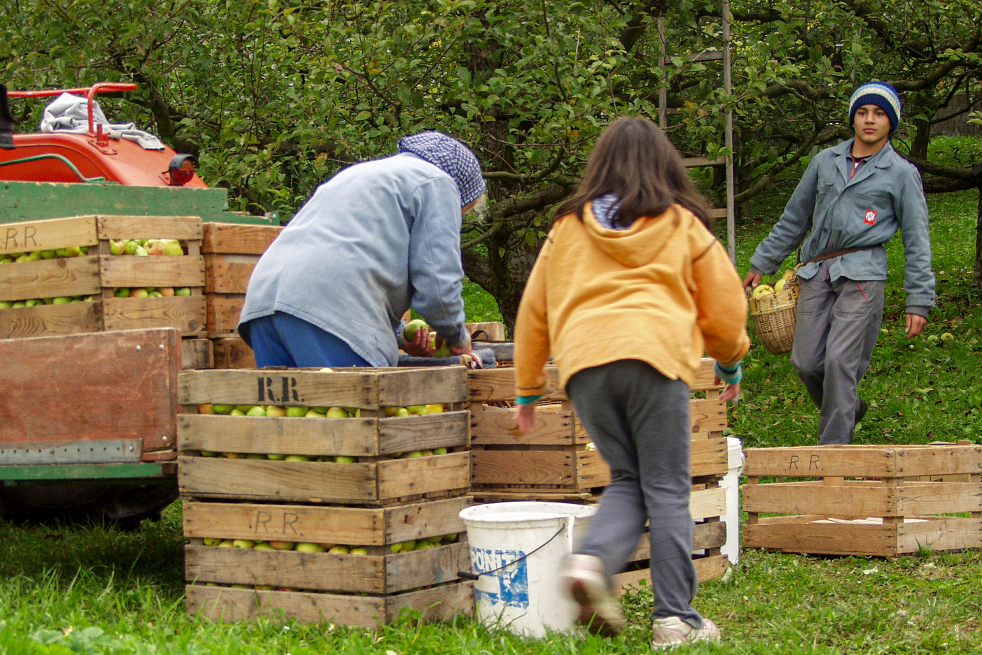 20021011165620 PA110116