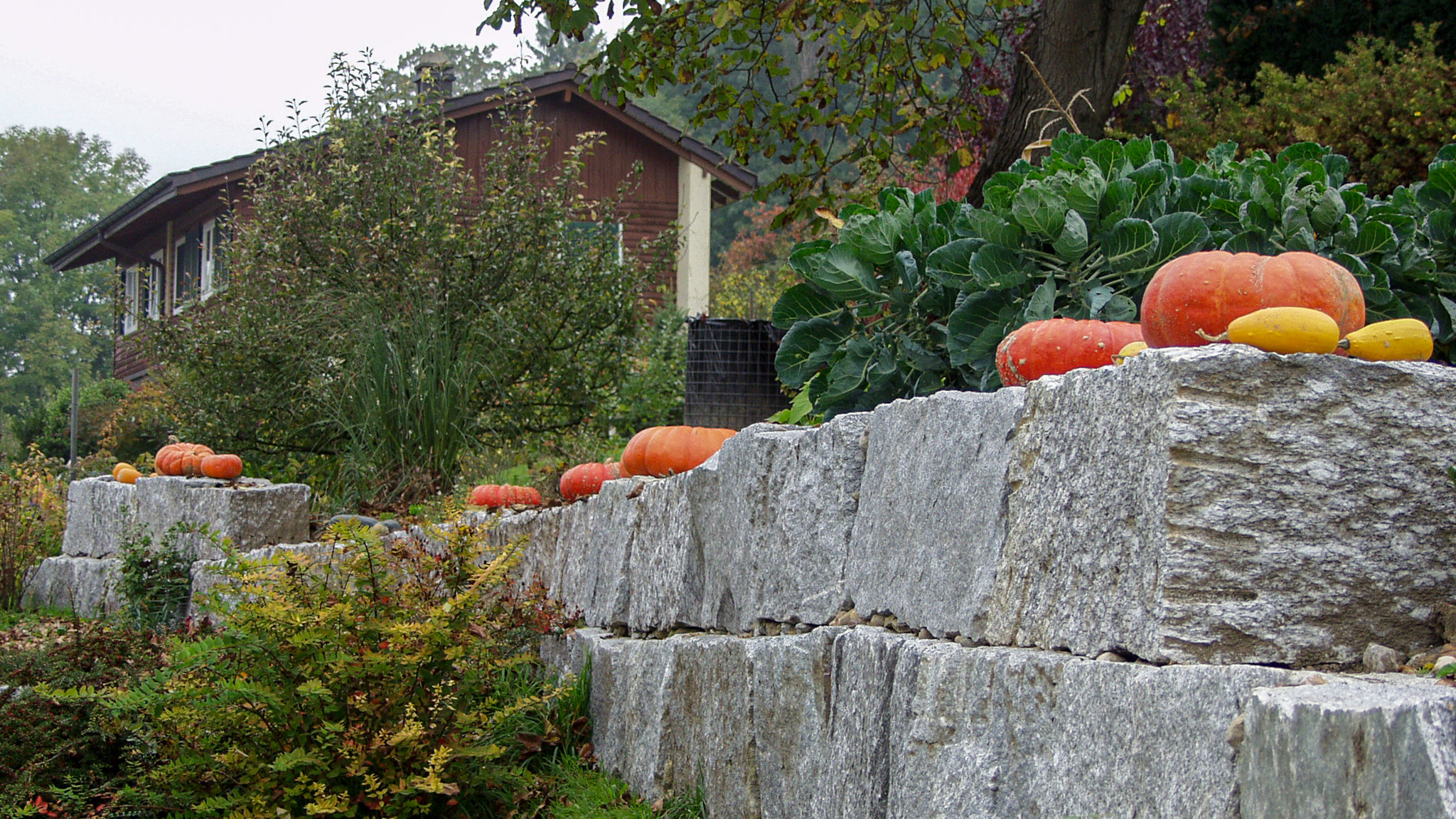 20021011165706 PA110118