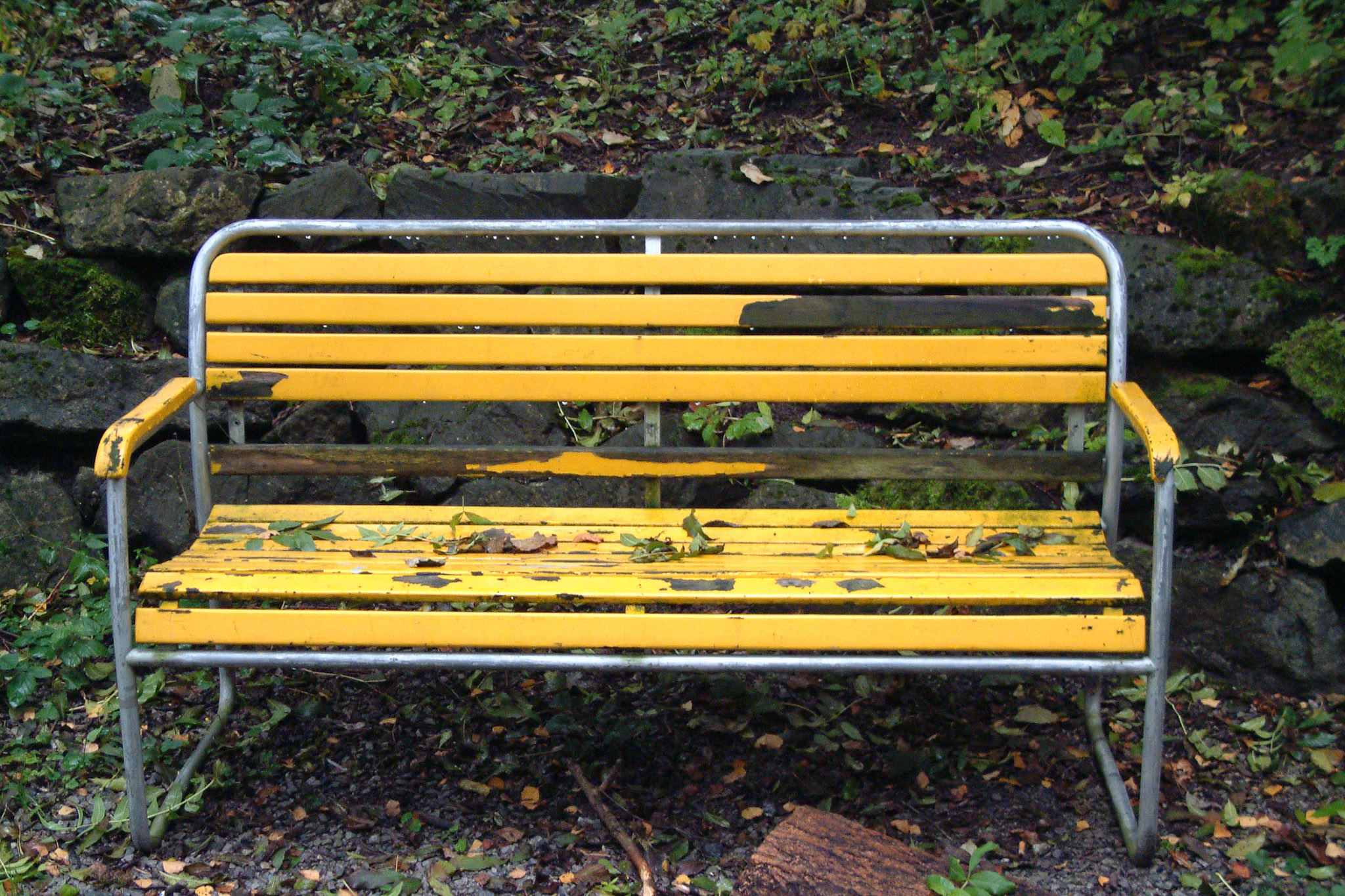 20021012144734 DSCF0004