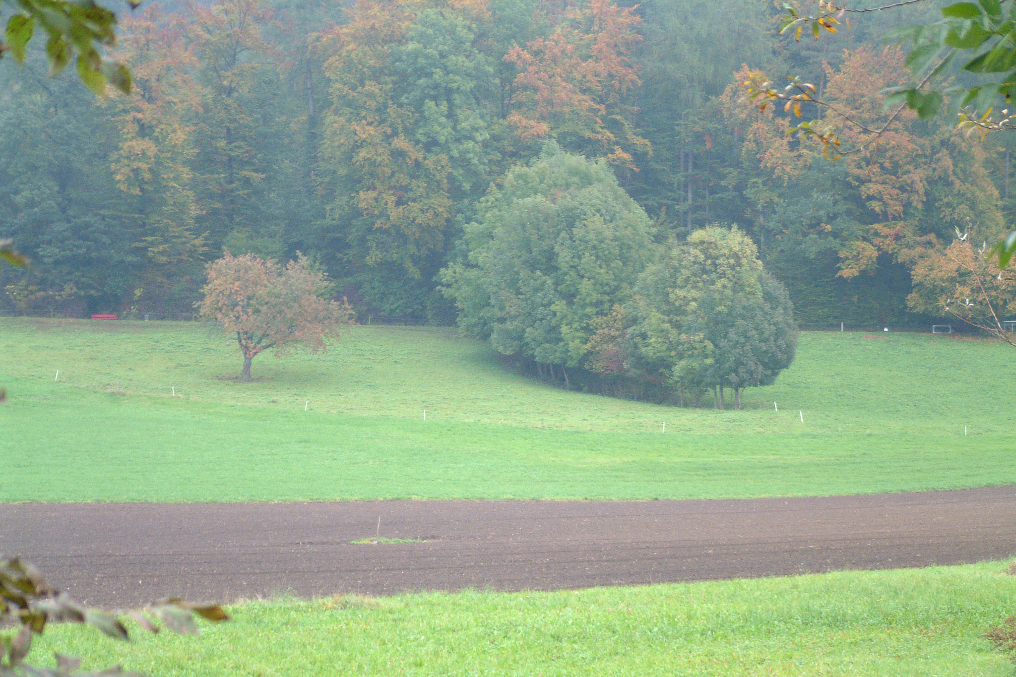 20021012144852 DSCF0007