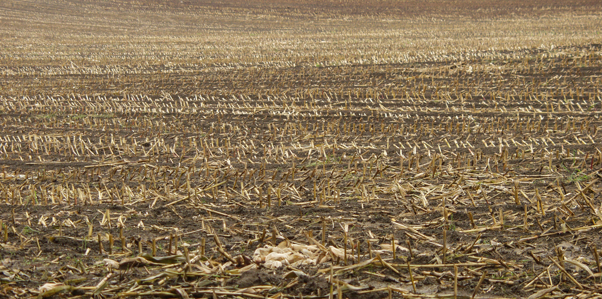 20021012145051 PA120217