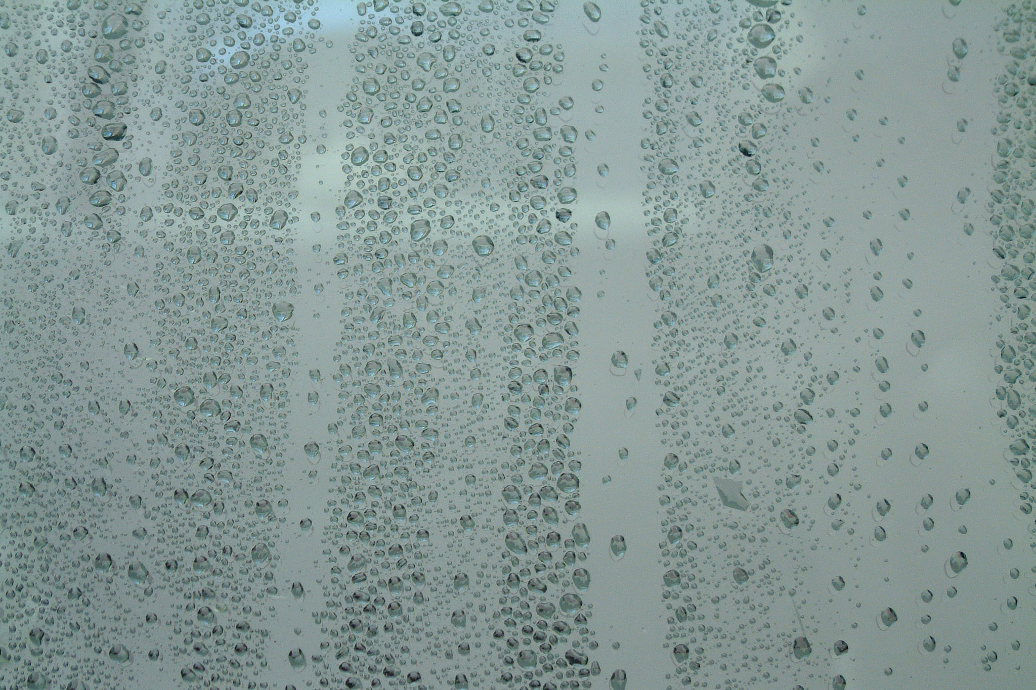 20021012145057 DSCF0009