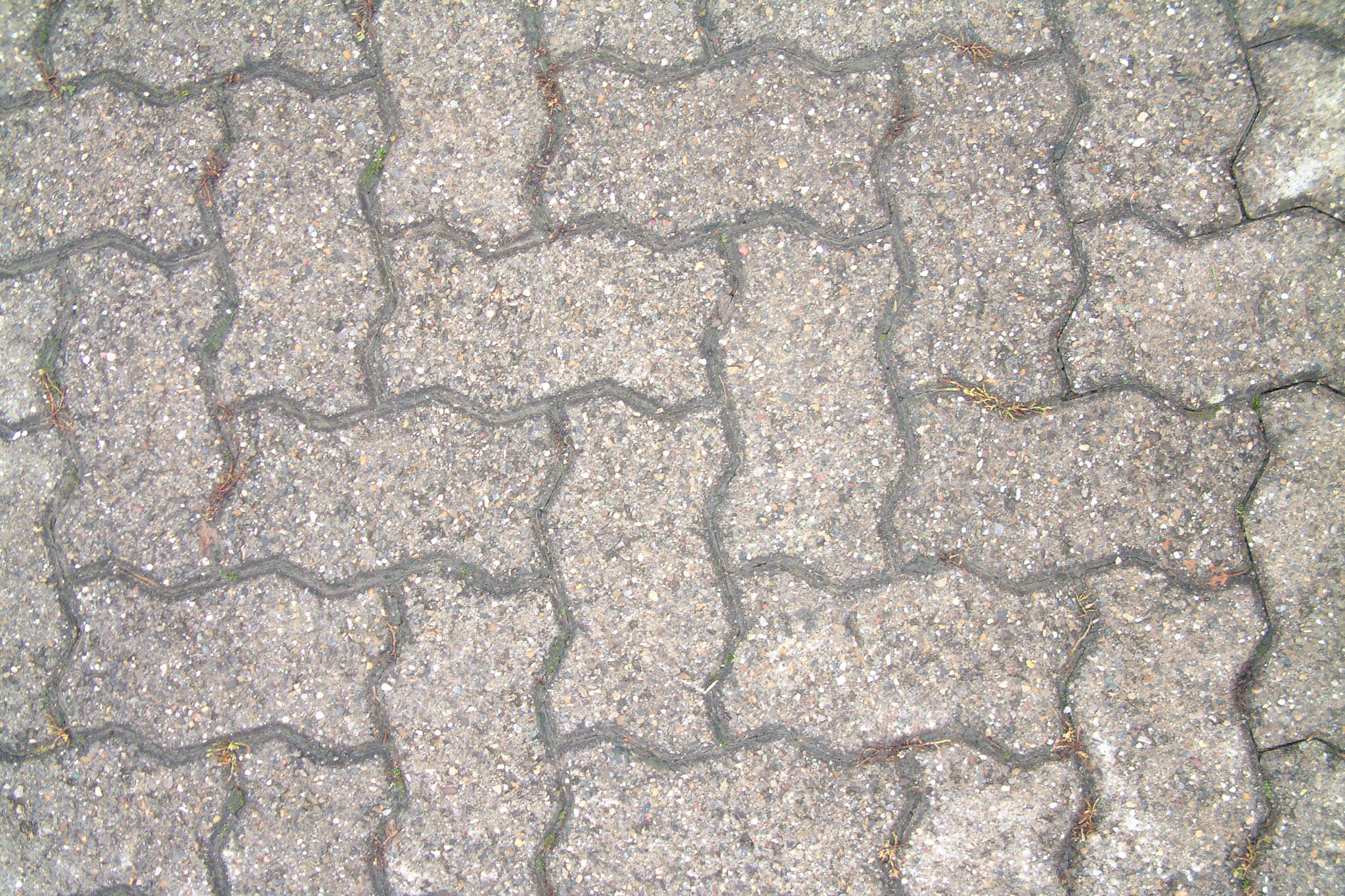 20021012145511 DSCF0012