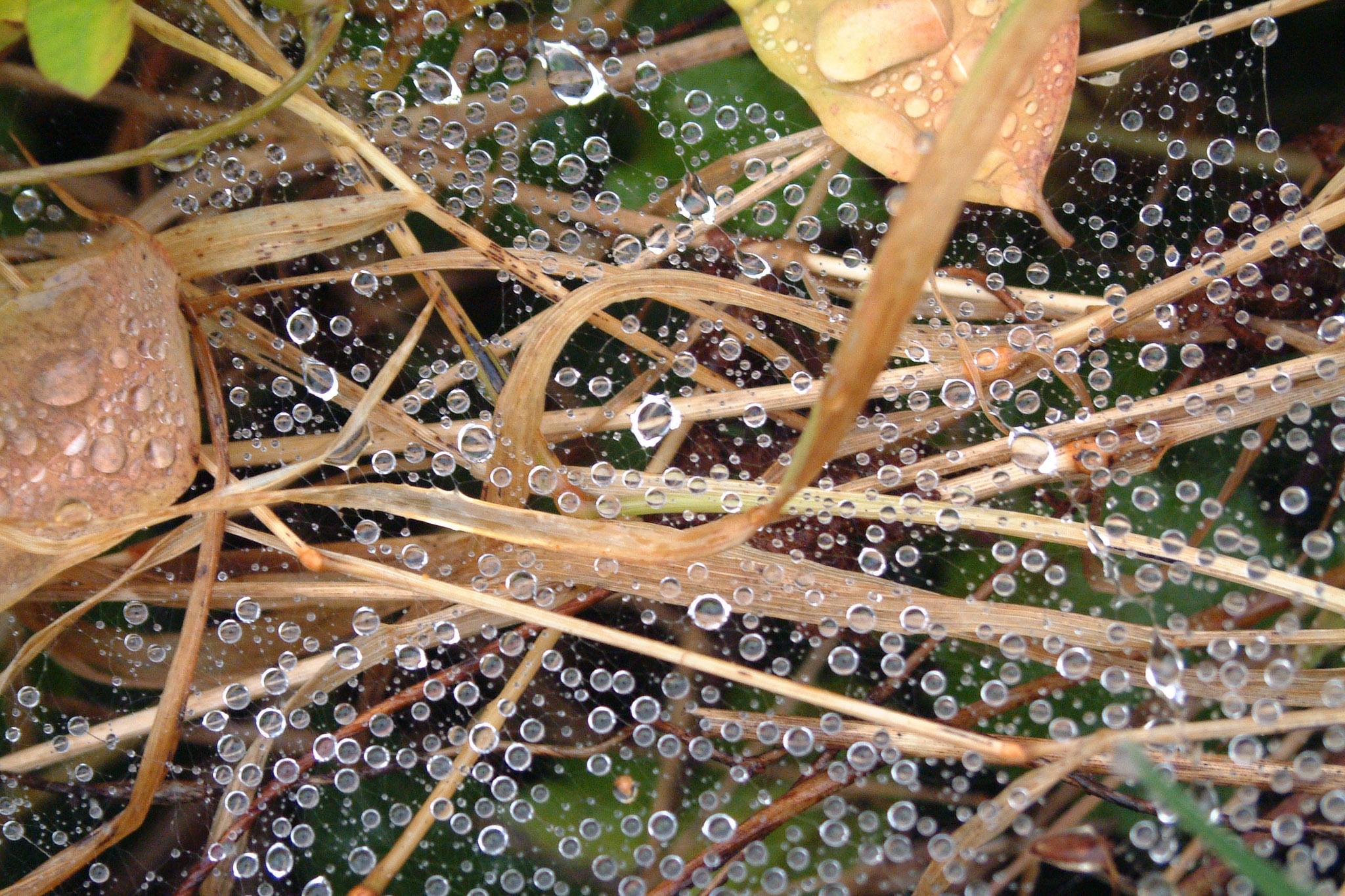 20021012151315 DSCF0018