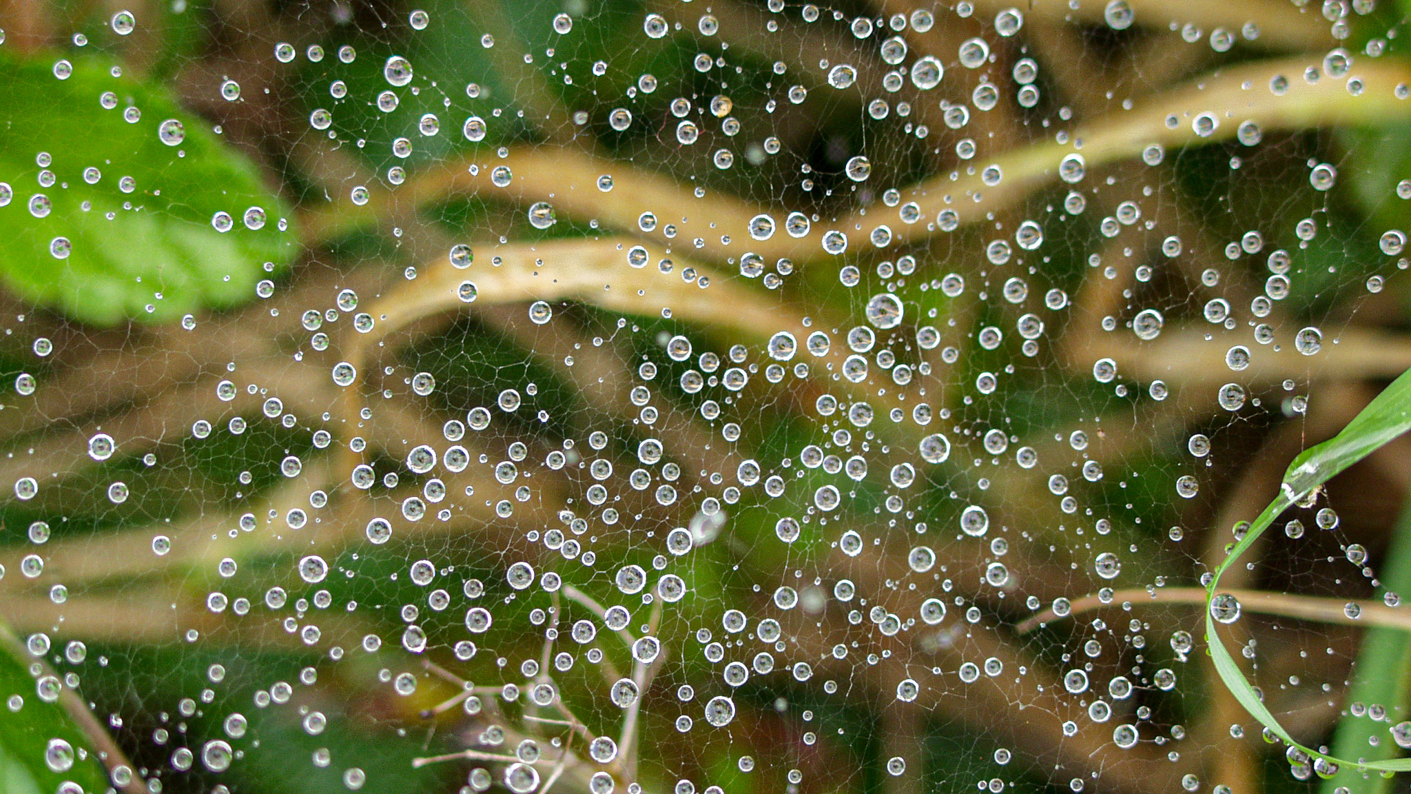 20021012151536 PA120253