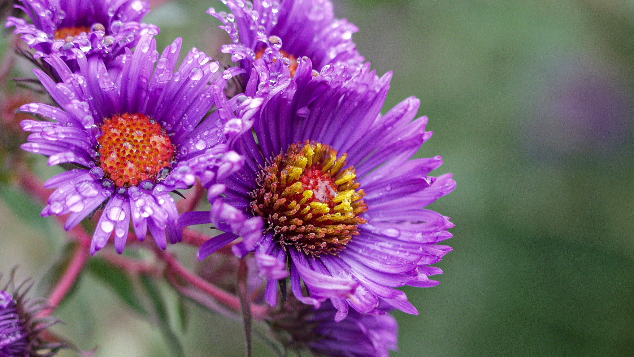 20021012152159 PA120265