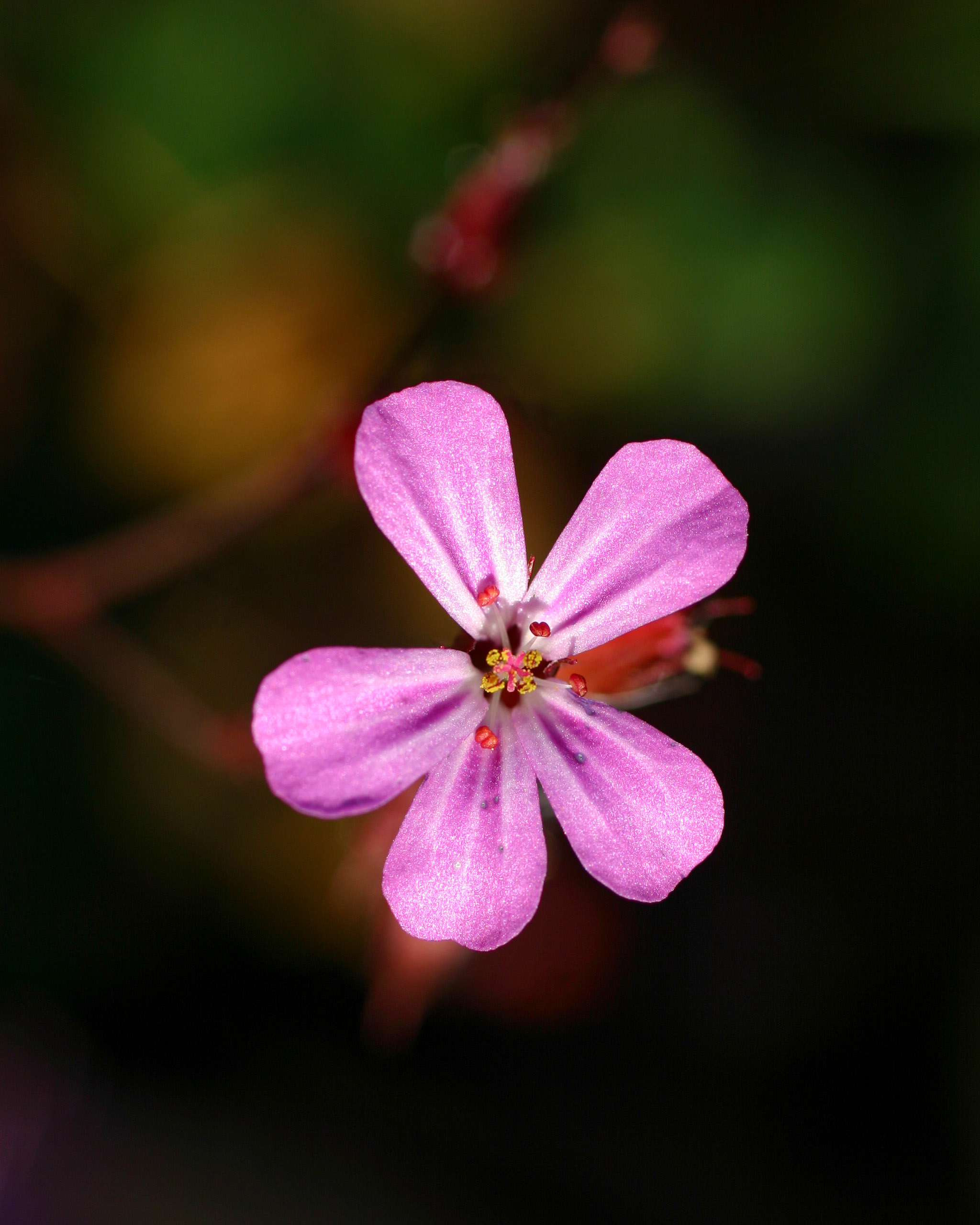 20051015151412 IMG 6544