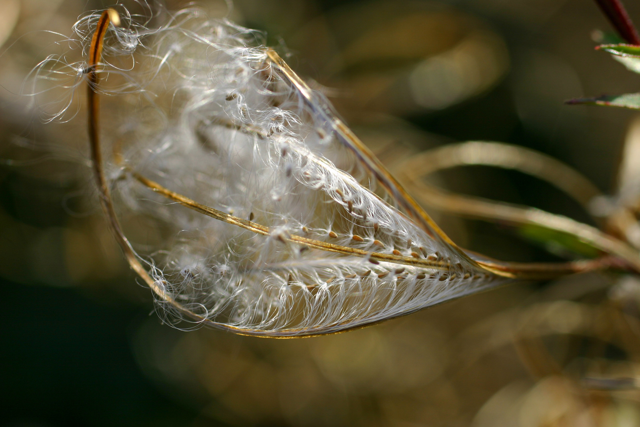 20051015151519 IMG 6553