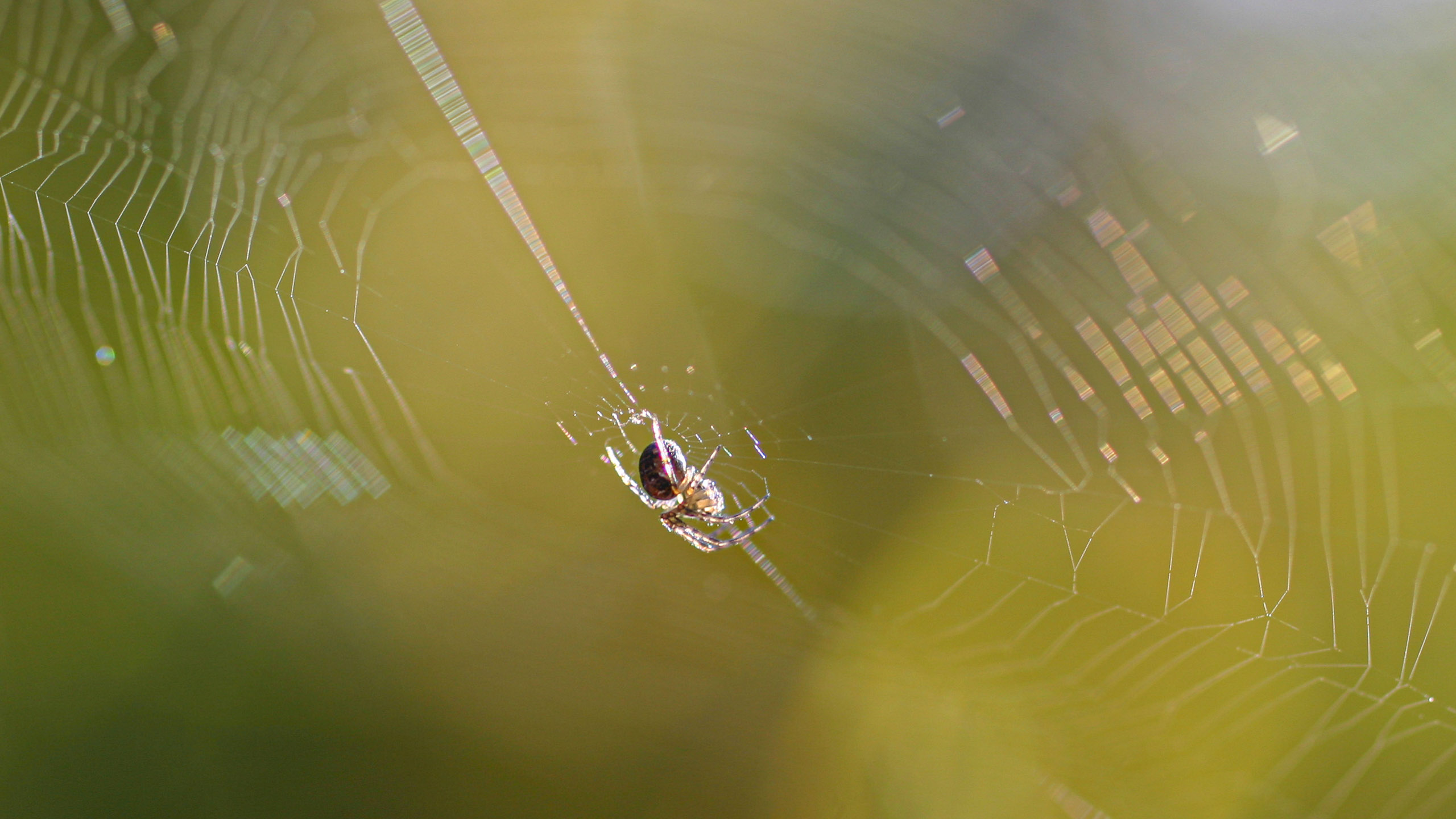 20051015154707 IMG 6651