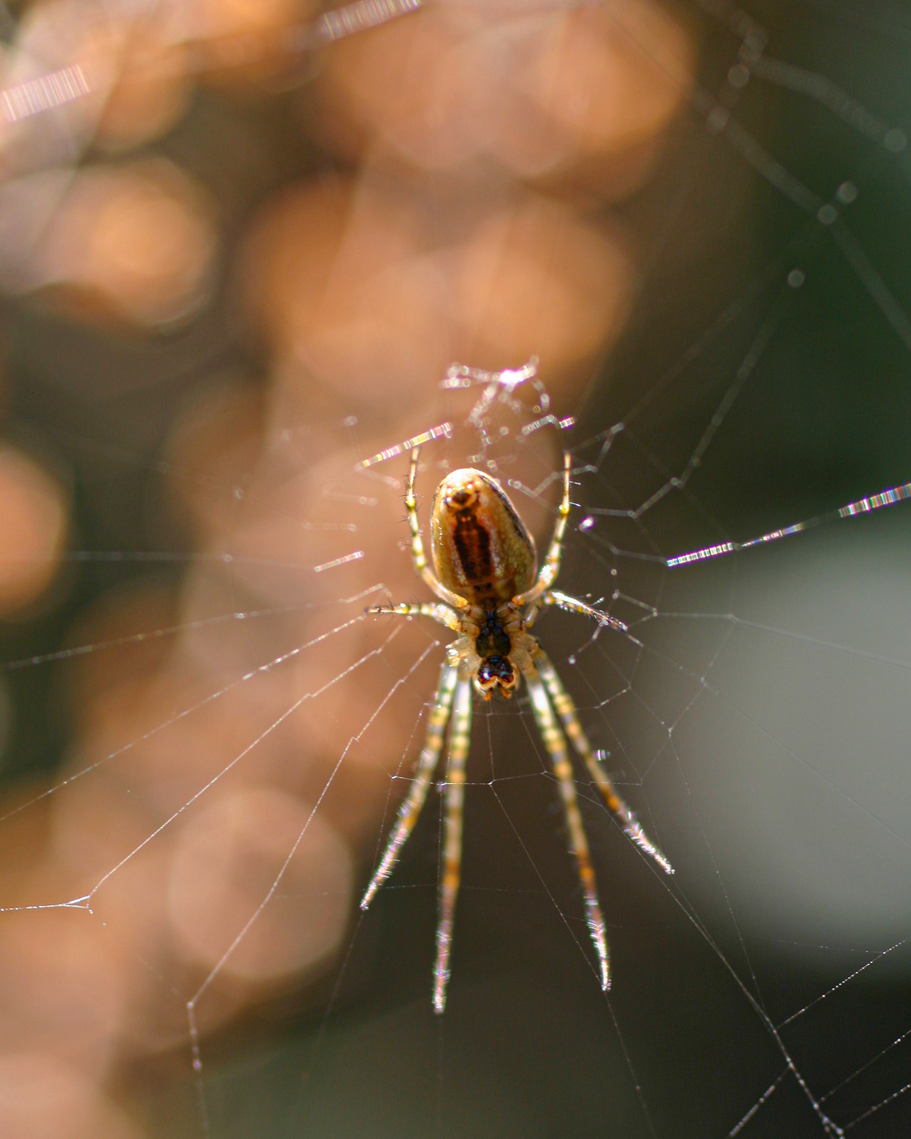 20051015155027 IMG 6660