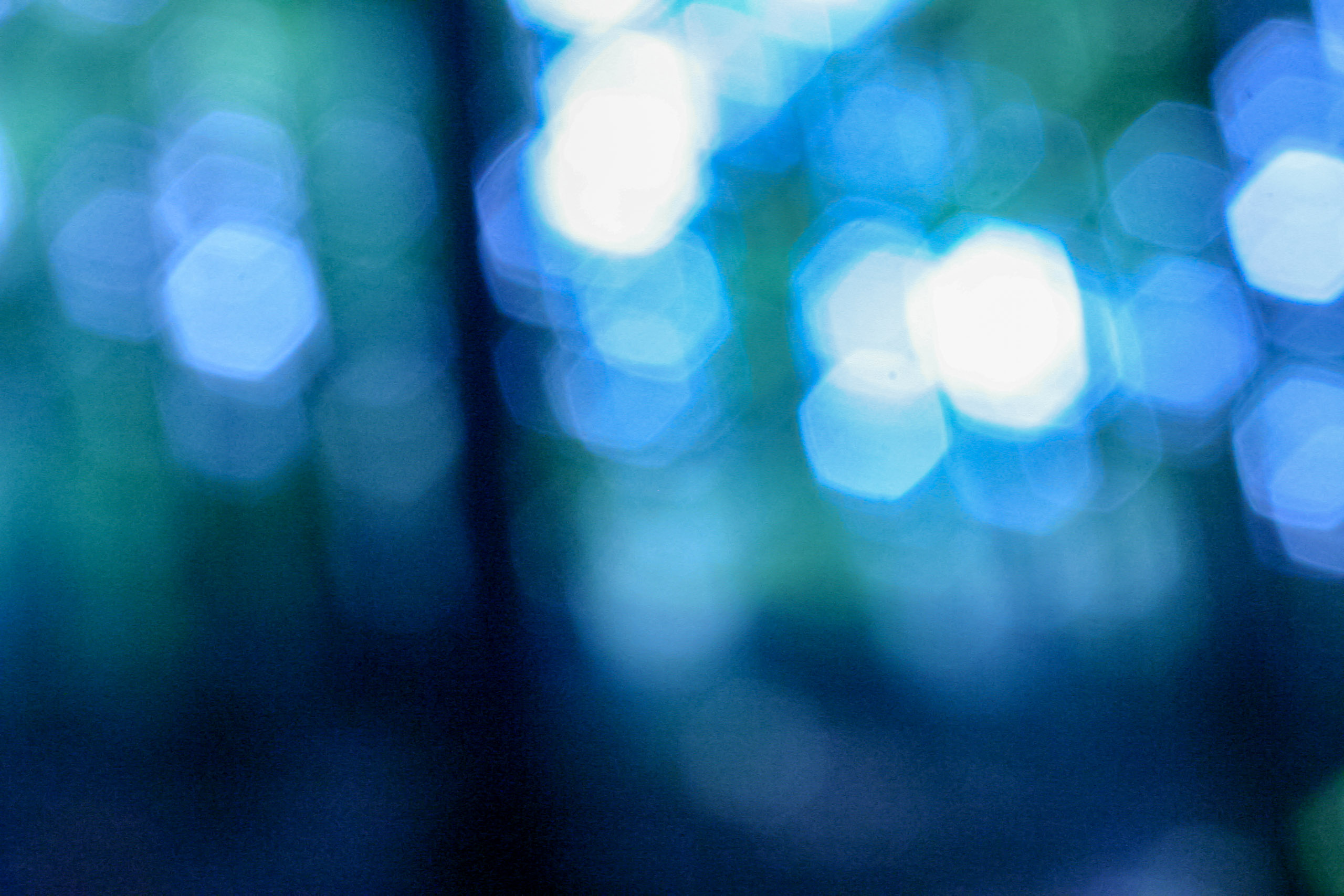 20051015155444 IMG 6676