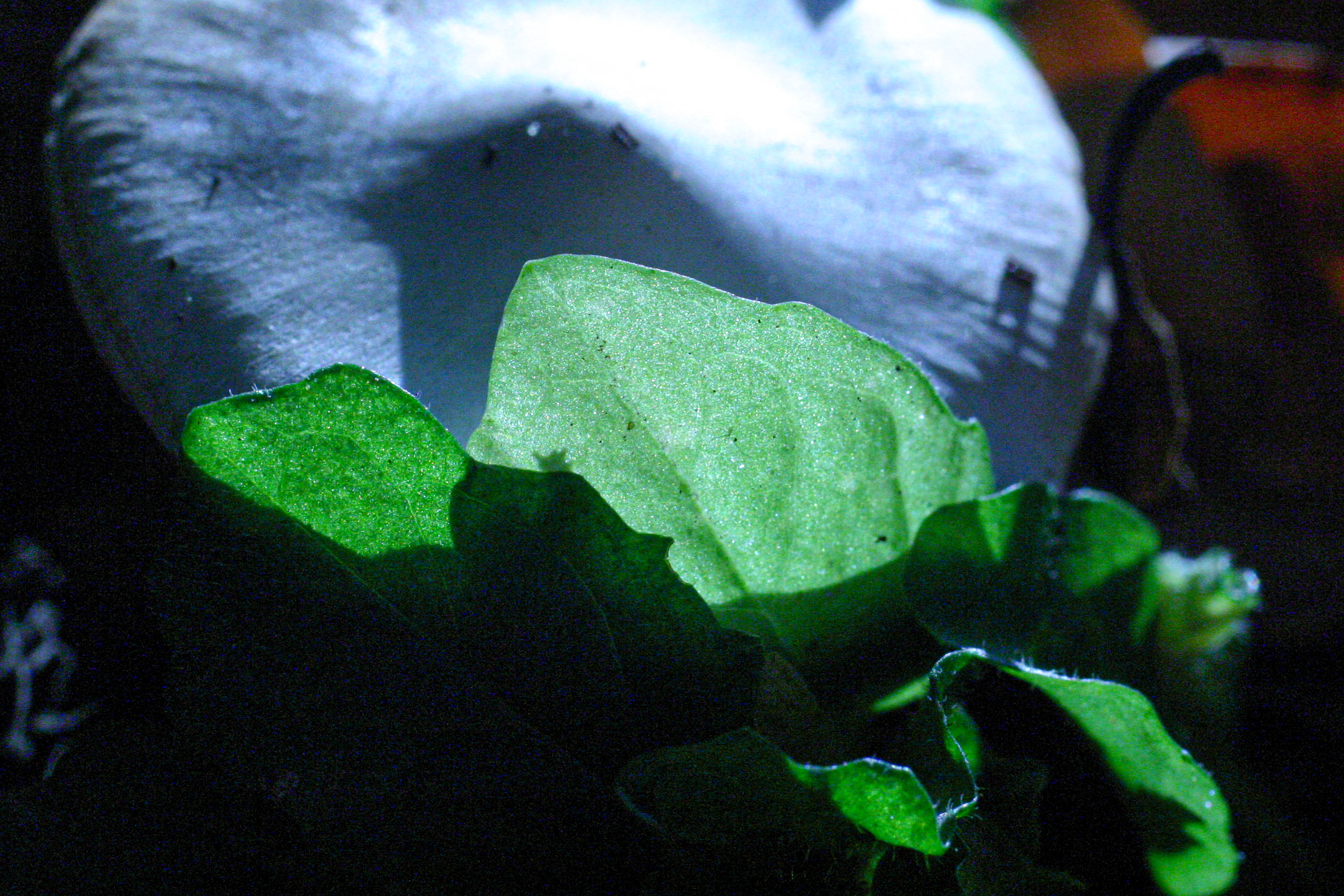 20051015160210 IMG 6706