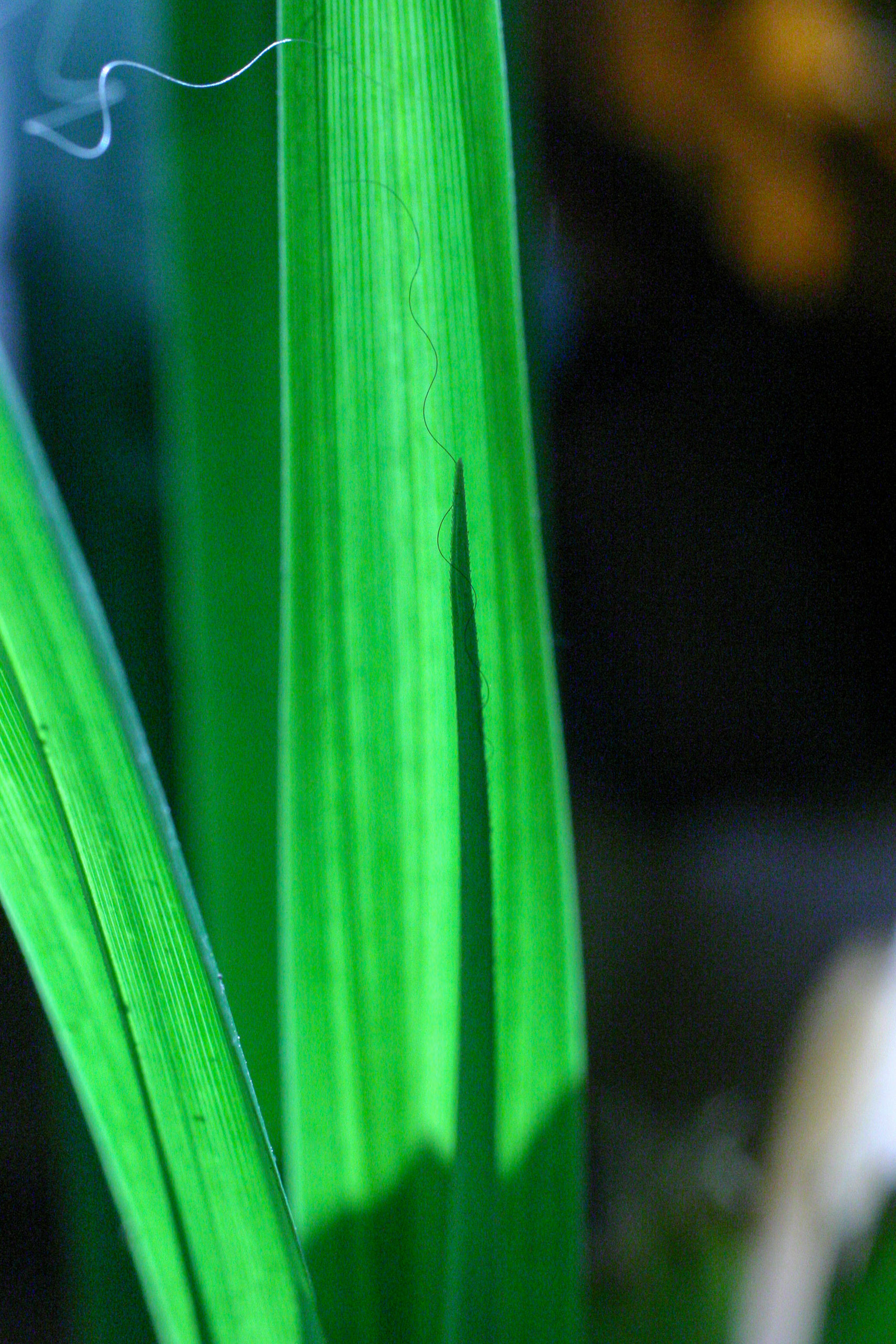 20051015160227 IMG 6711