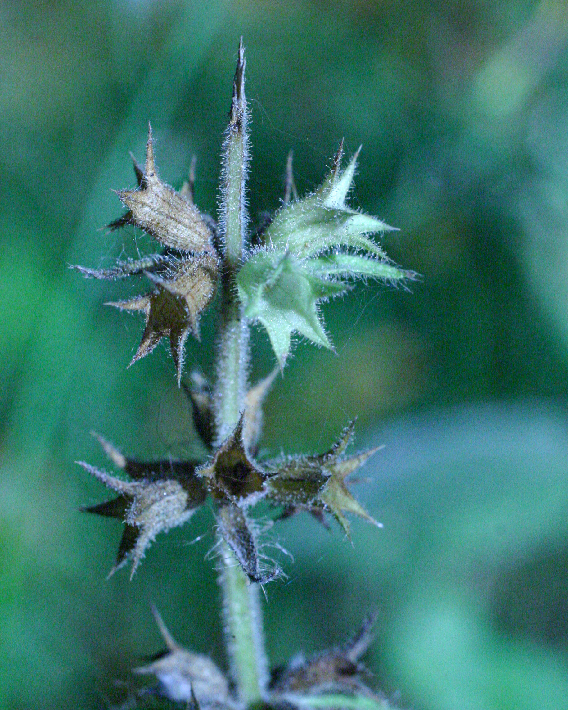 20051015160318 IMG 6718