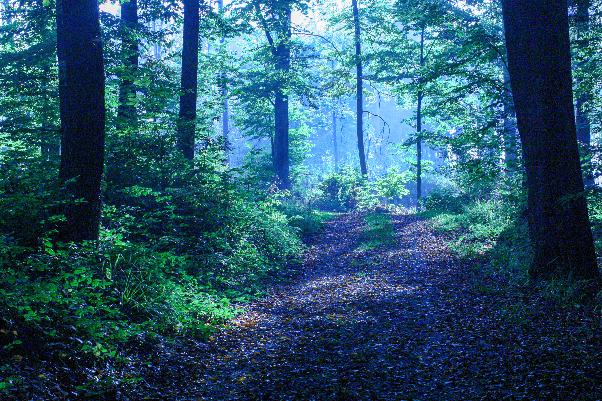 20051015161602 IMG 6768