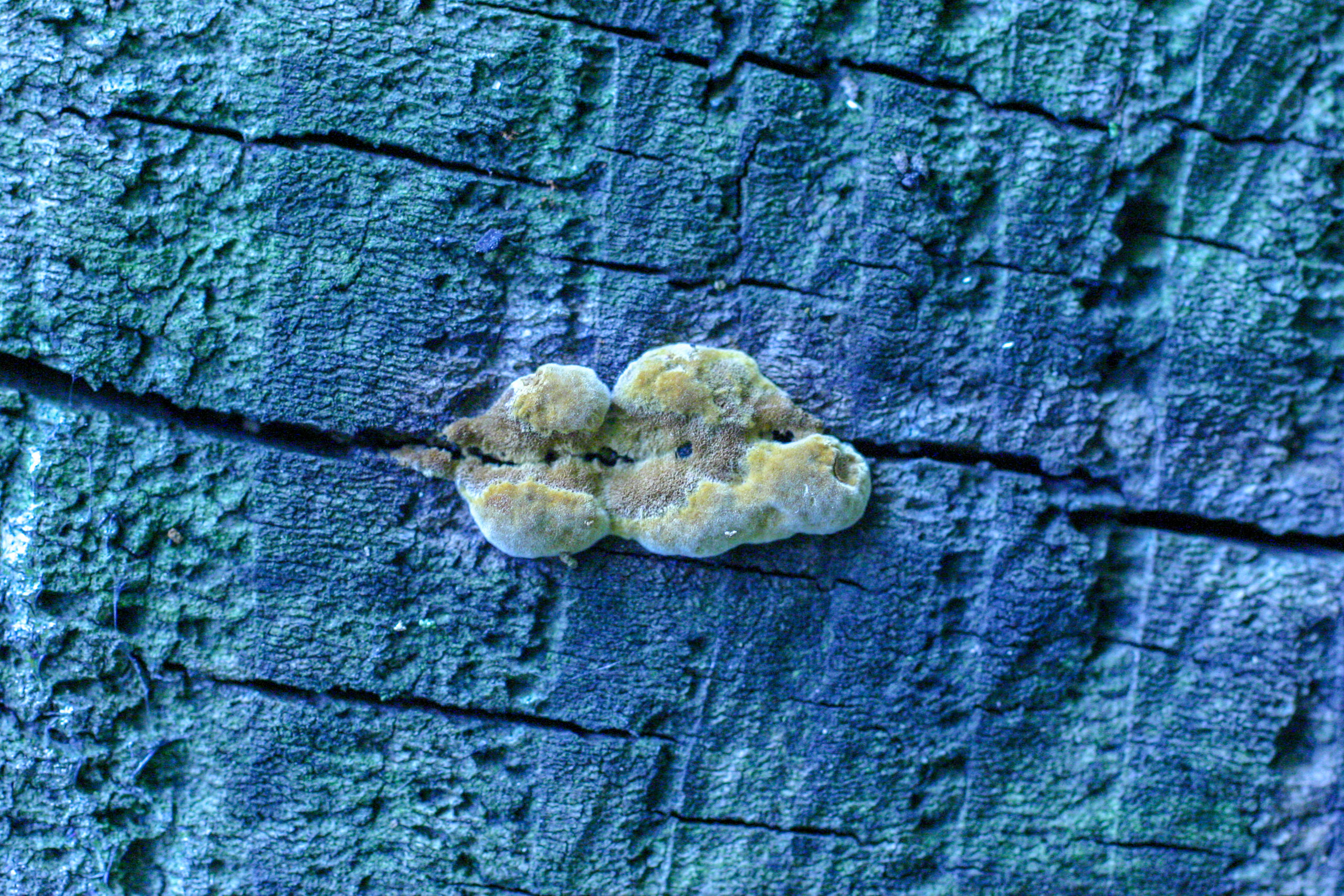 20051015162102 IMG 6801