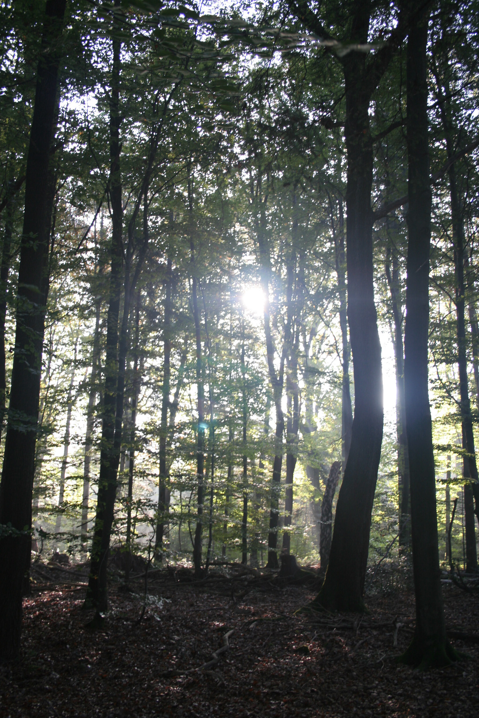 20051016093304 IMG 0016