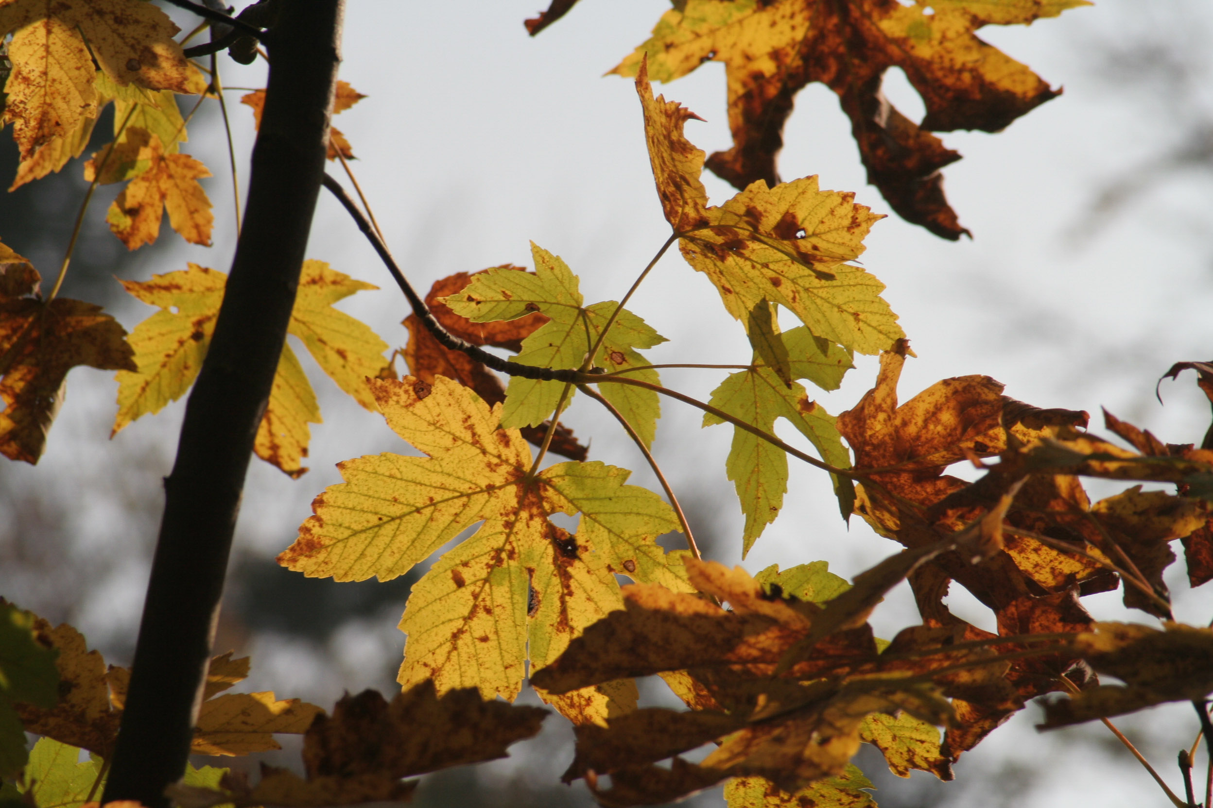 20051016100104 IMG 0024