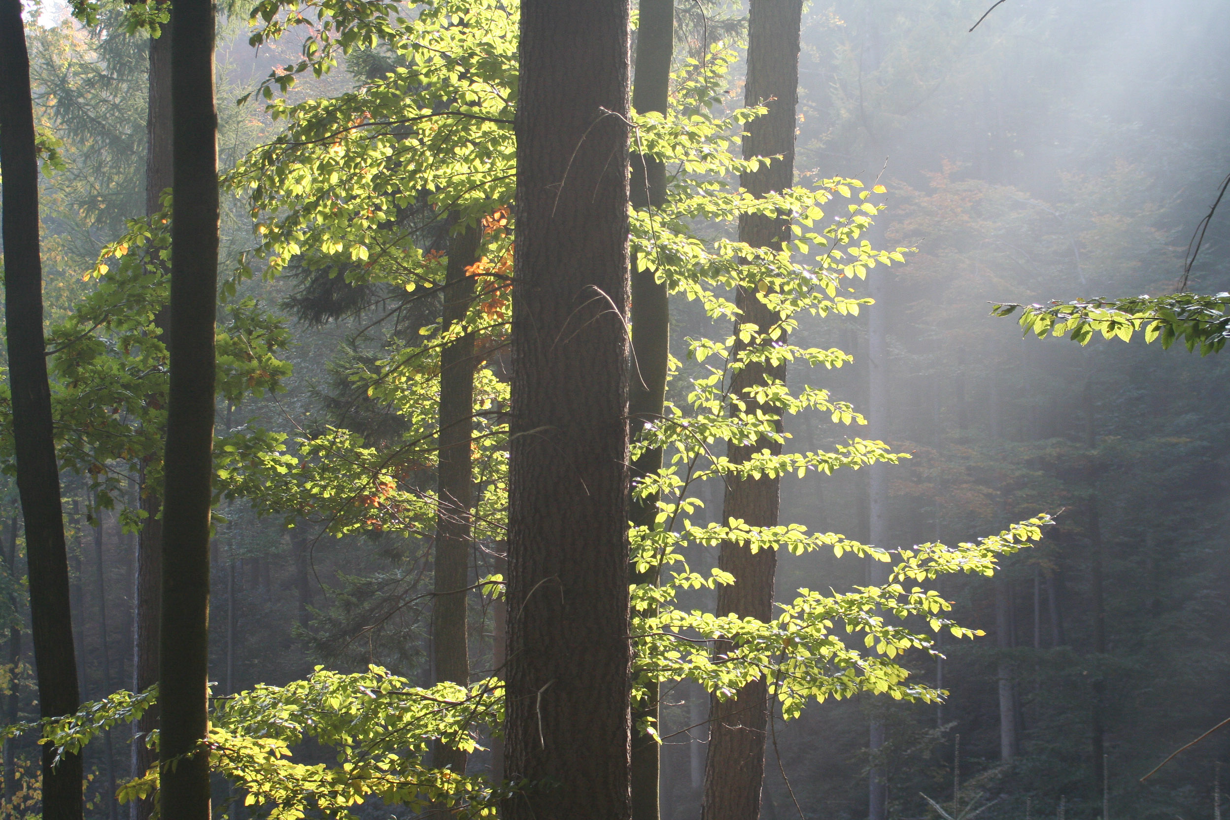 20051016100709 IMG 0028