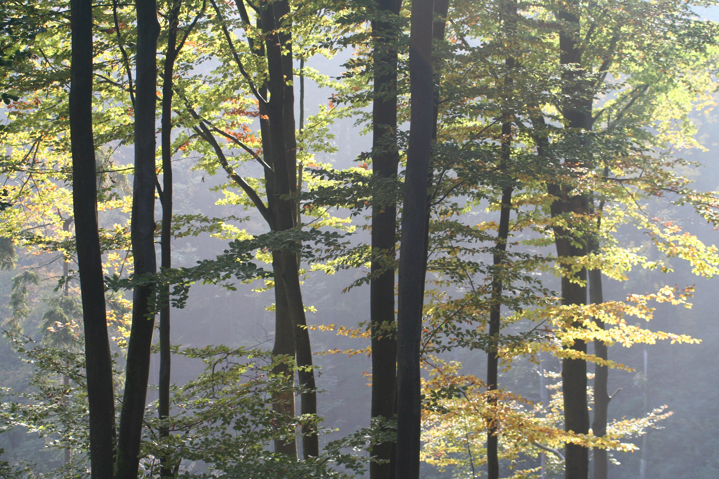 20051016100914 IMG 0029