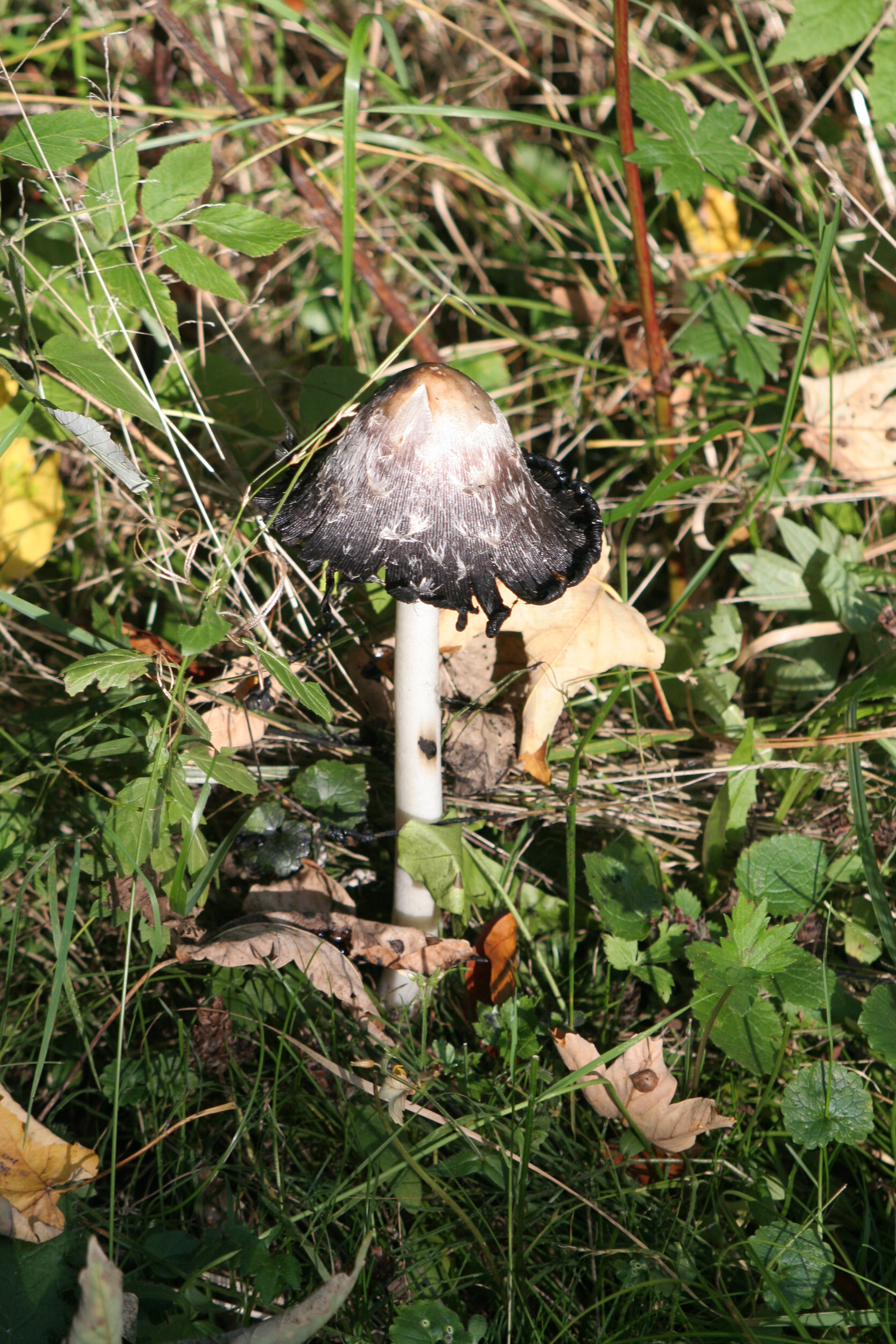 20051016152113 IMG 0013