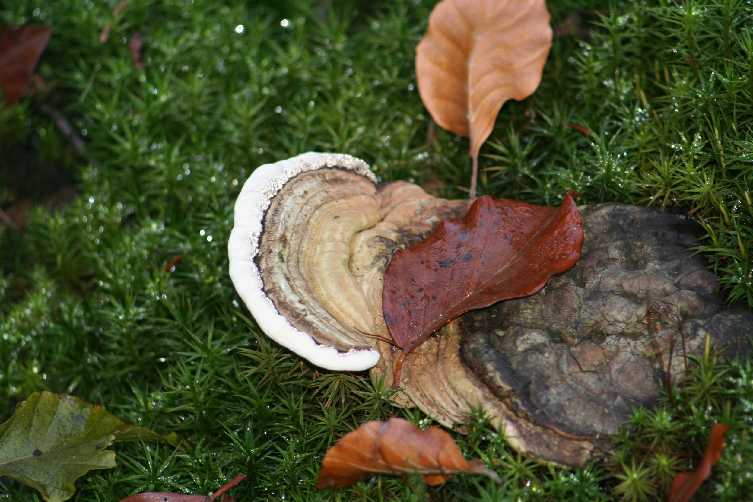 20051016152822 IMG 0019