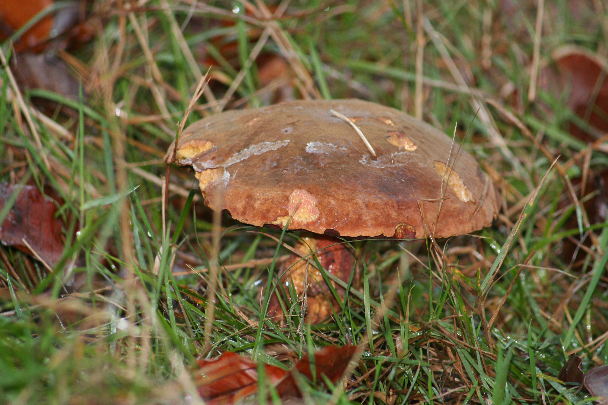 20051016153424 IMG 0023