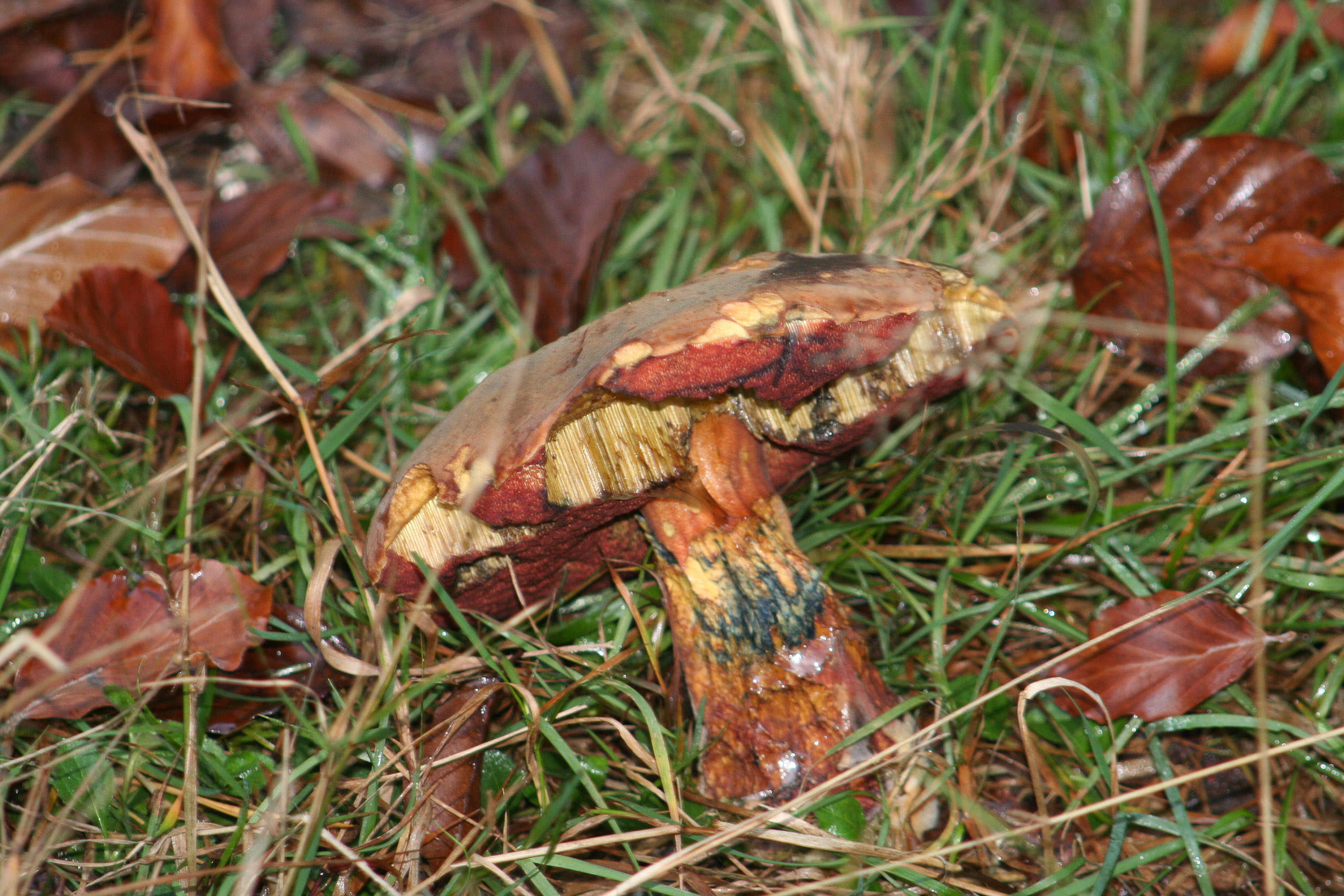 20051016153647 IMG 0026