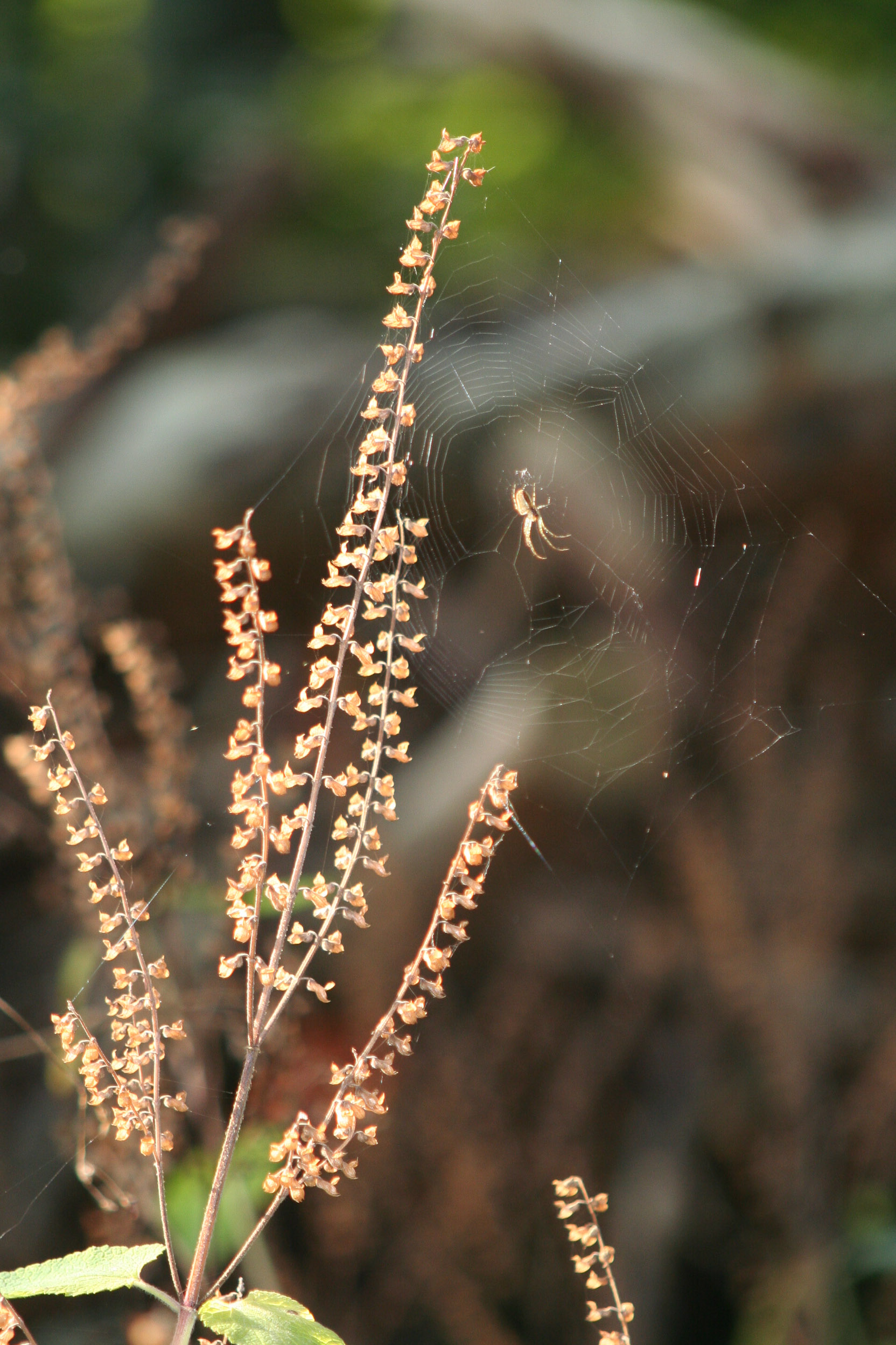 20051016154523 IMG 0031