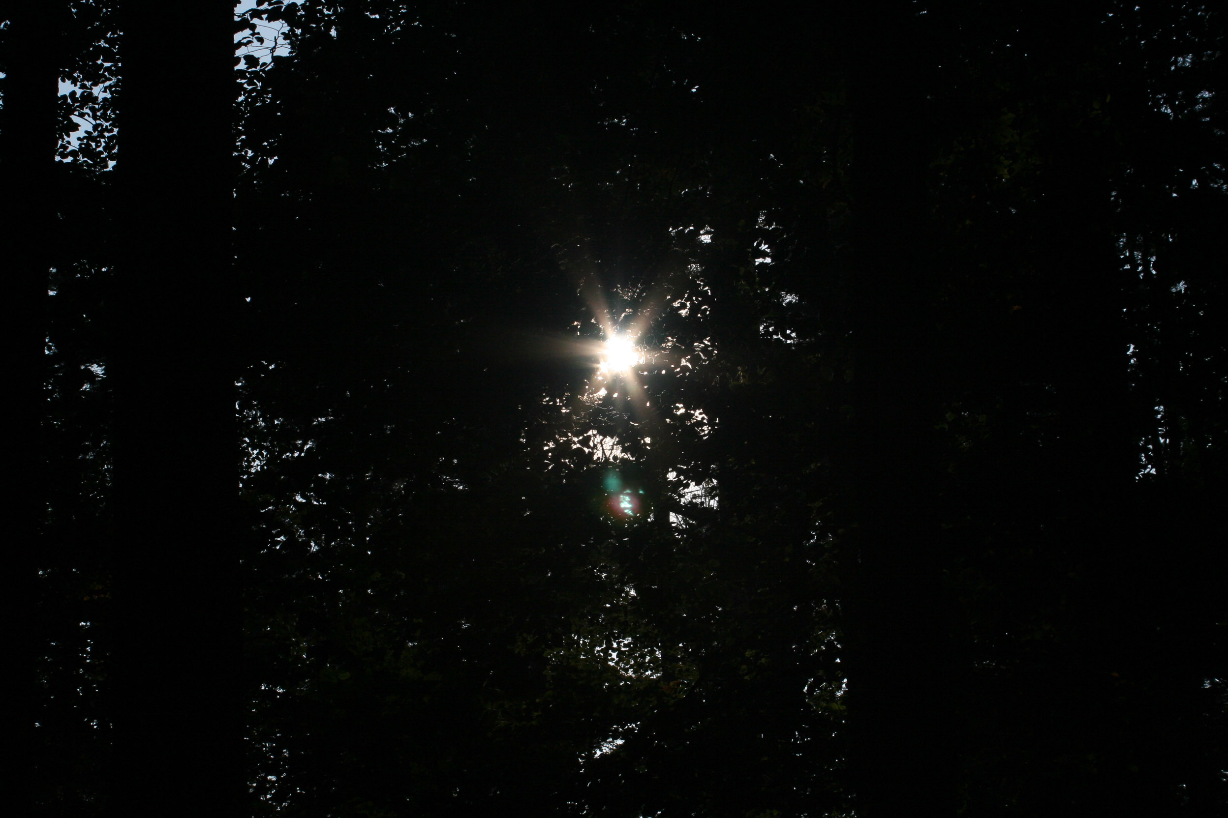 20051016154957 IMG 0032