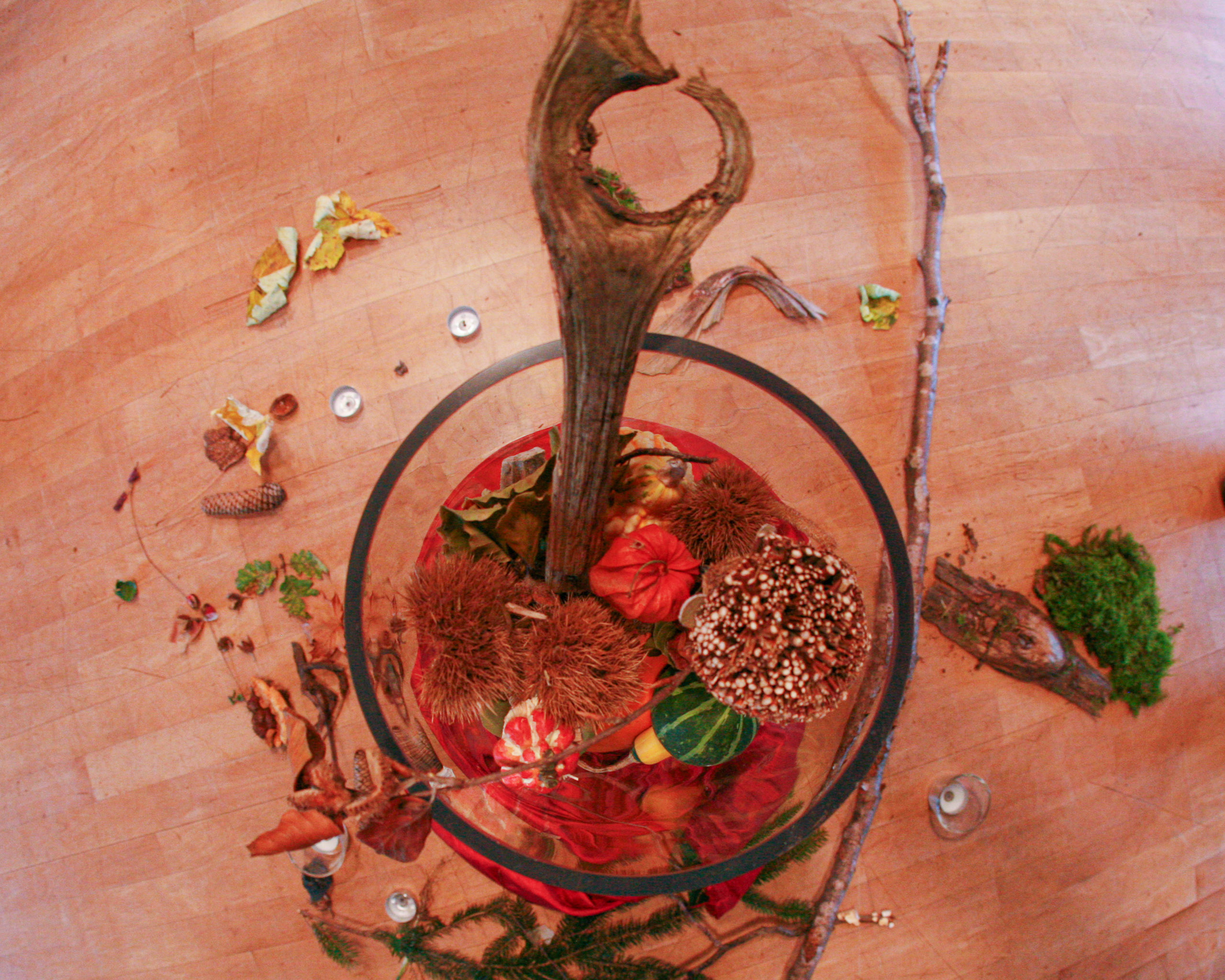 20091018125957 IMG 3987