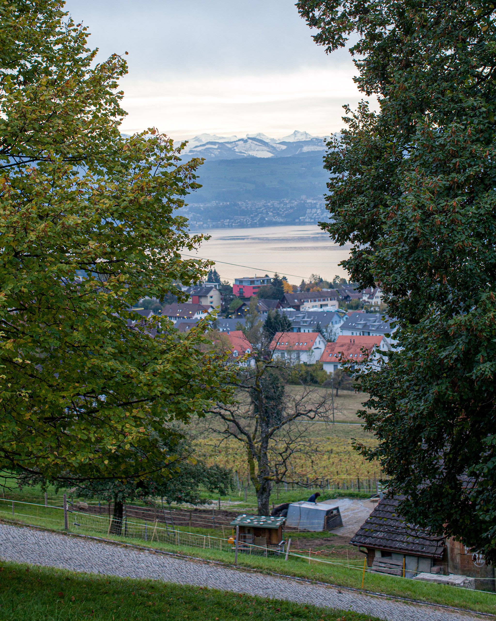 20101022181314 IMG 4238