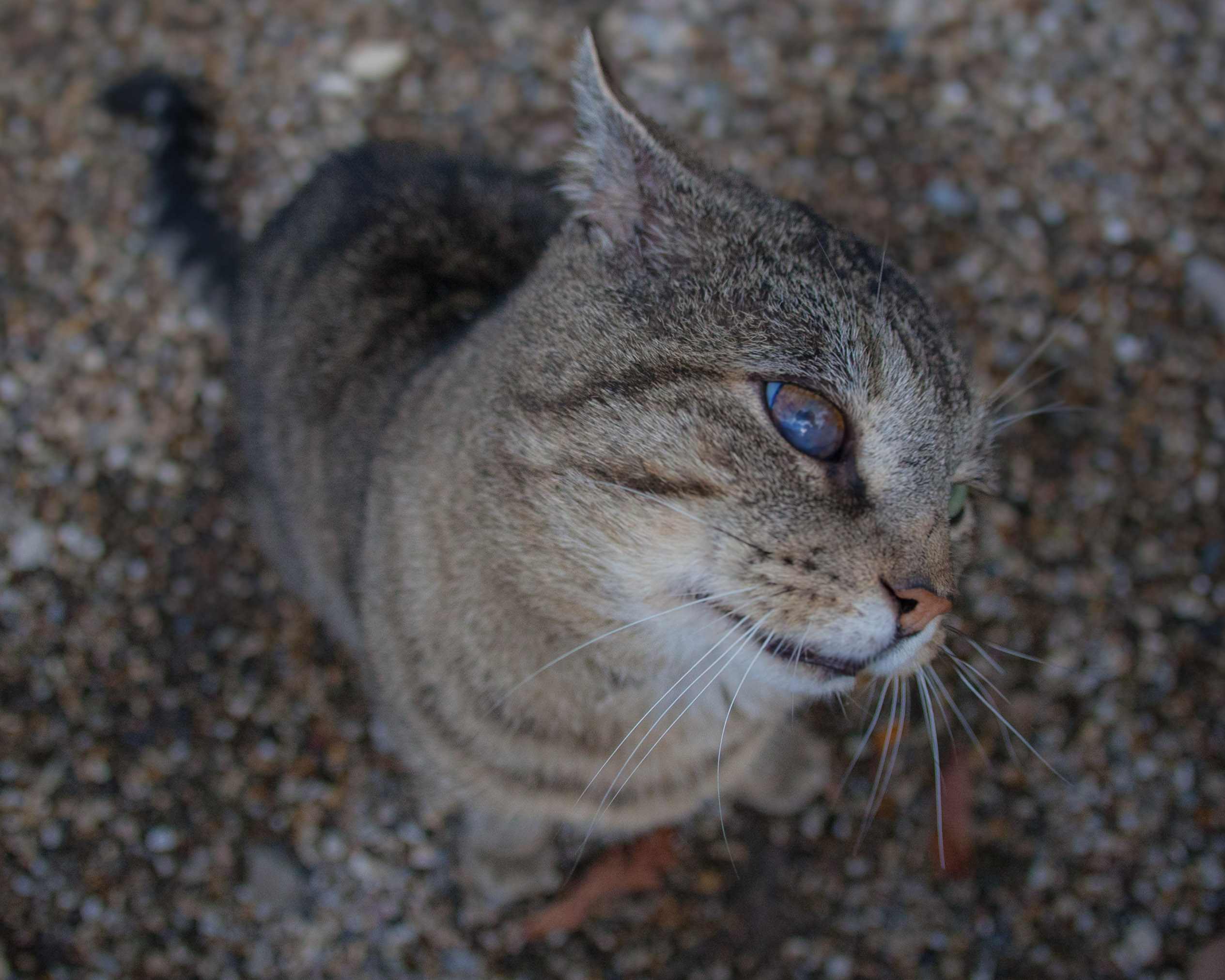 20121103125057 IMG 3961