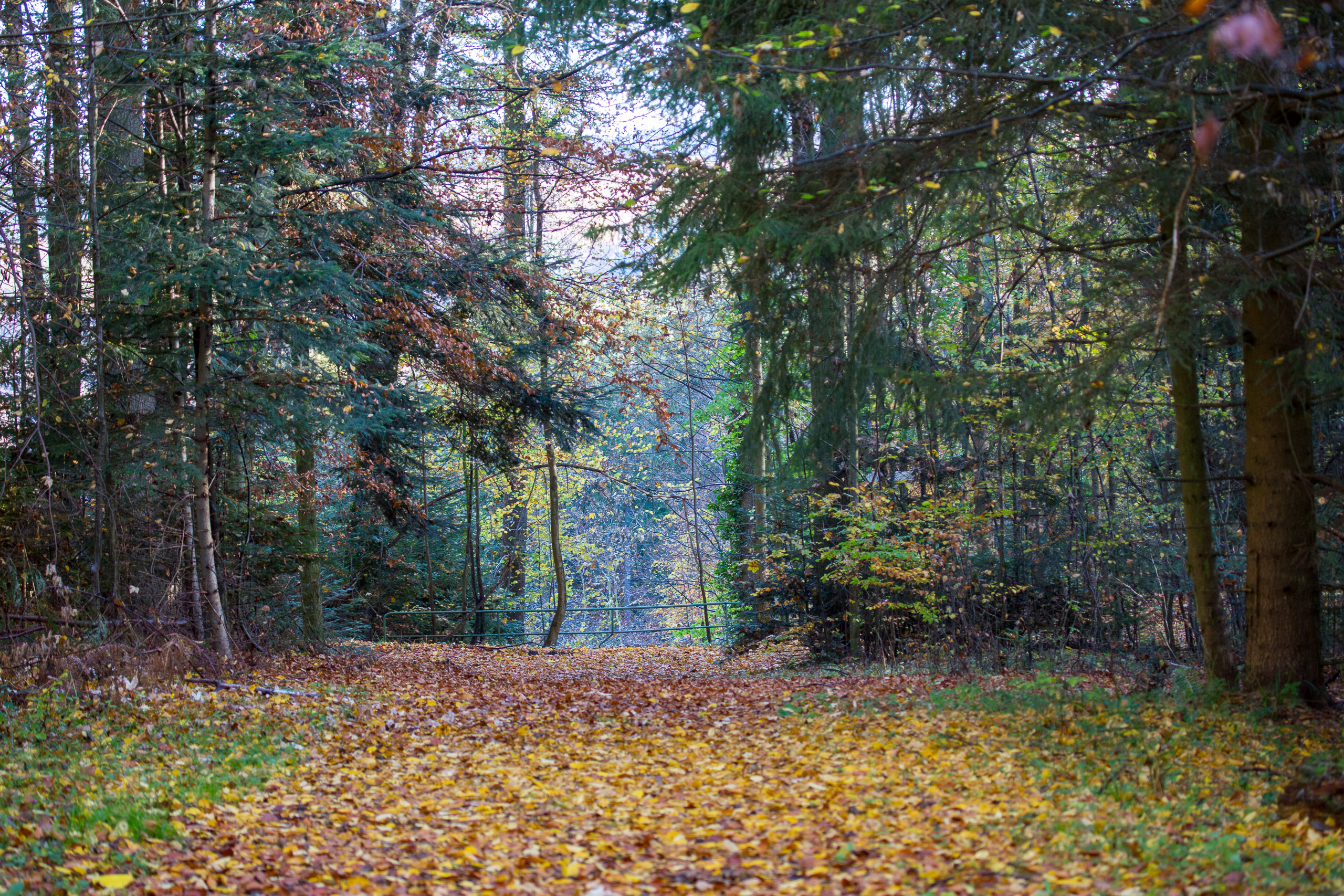 20131027090430 RD 27912