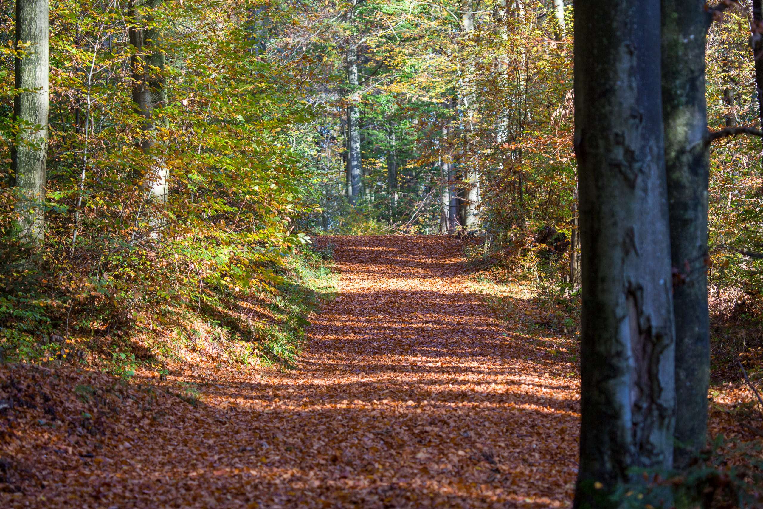 20131027090626 RD 27934