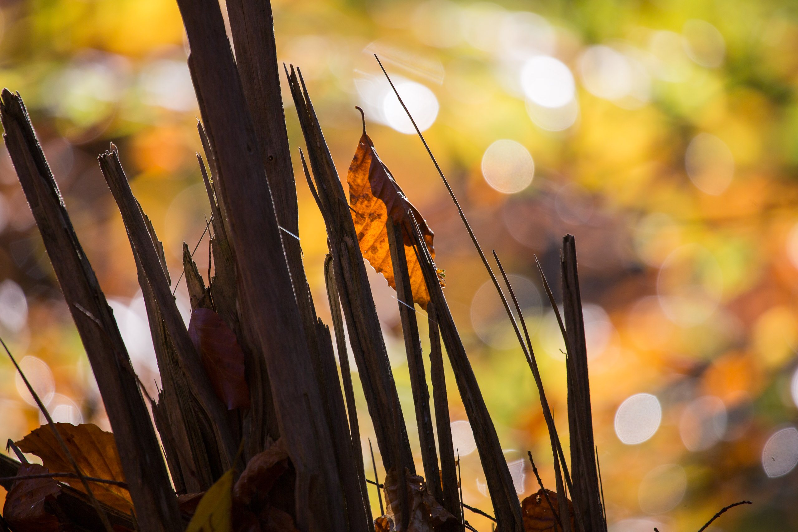 20131027090738 RD 27942