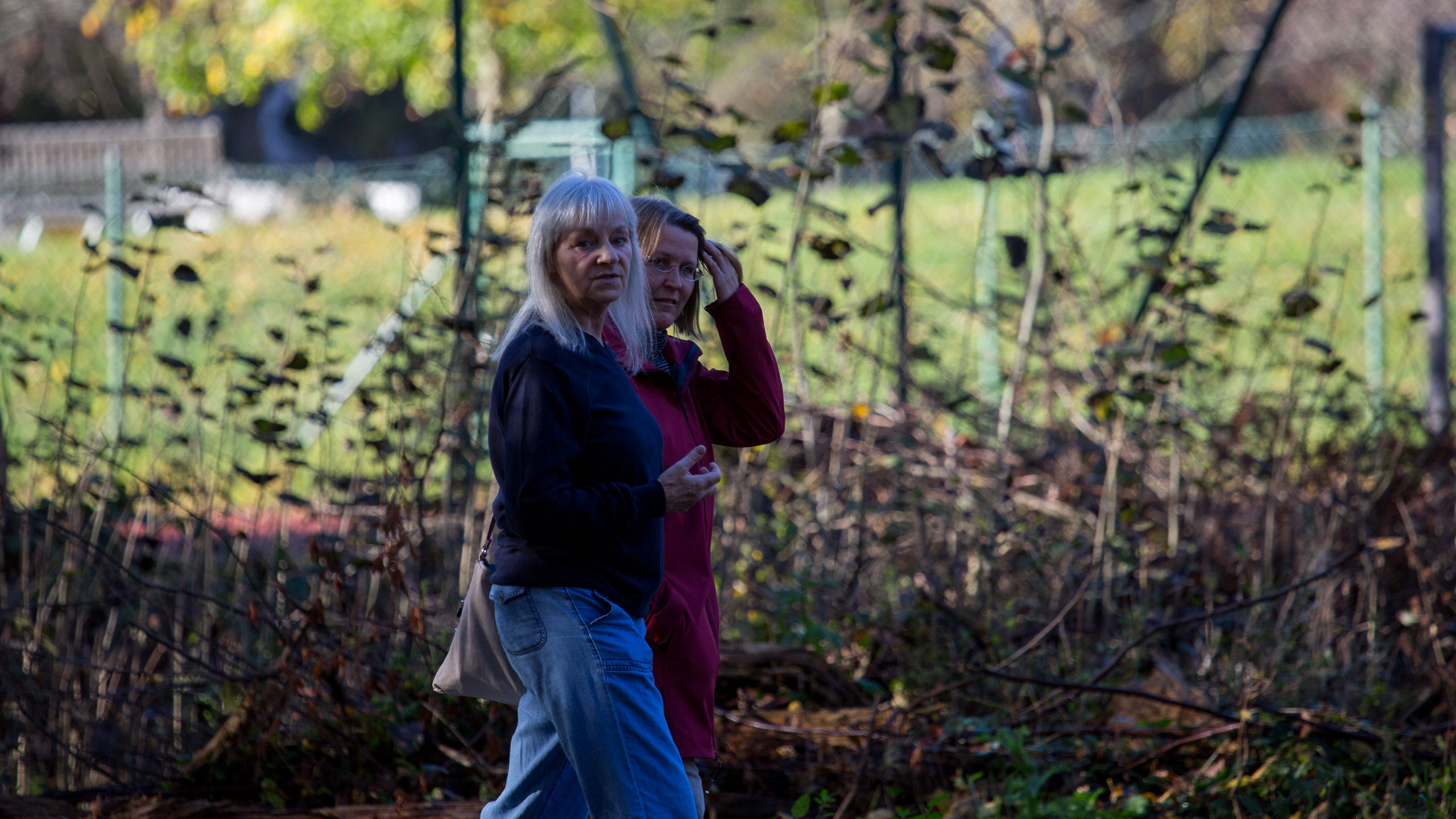 20131027092153 RD 27993