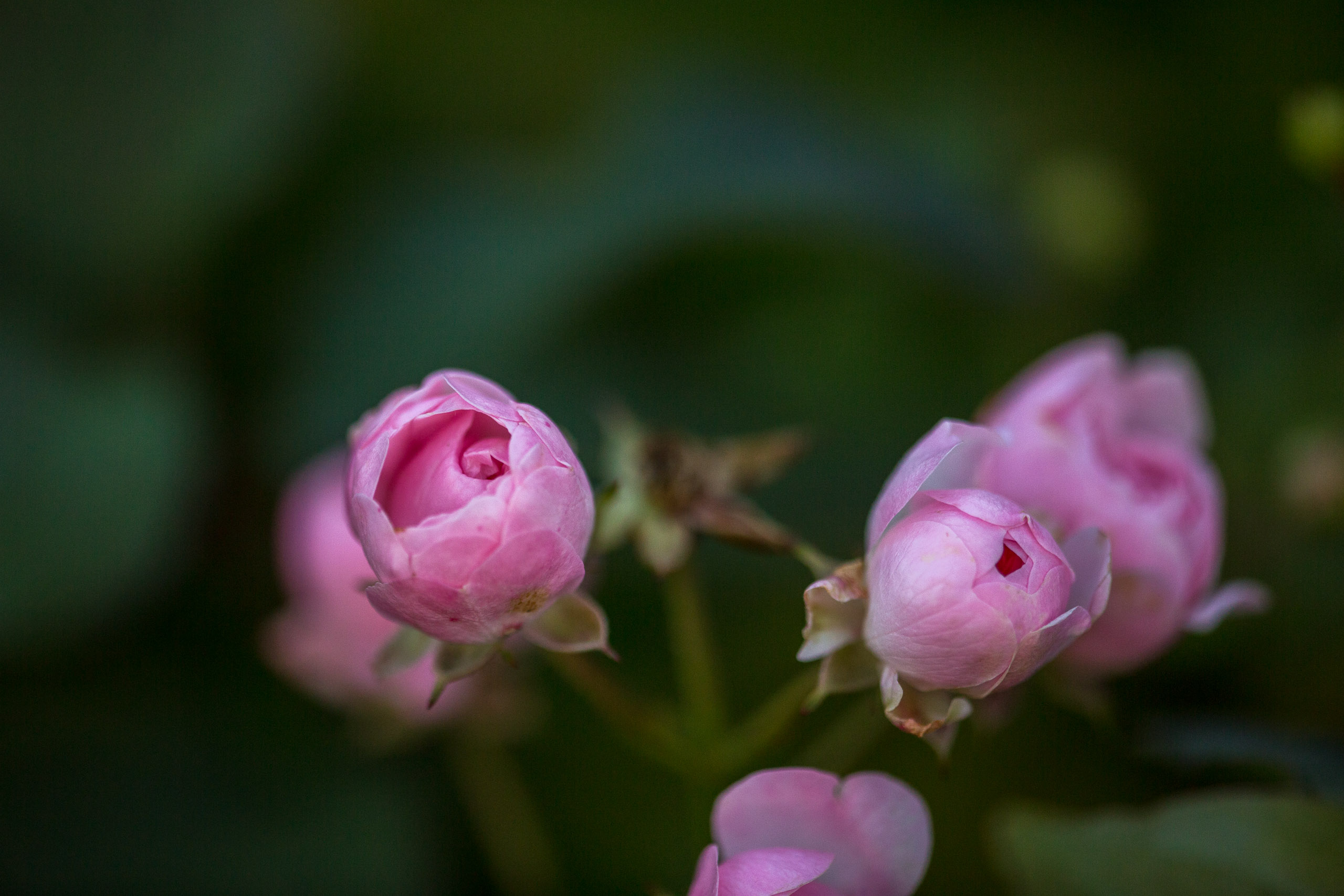 20141023174959 RD 75779