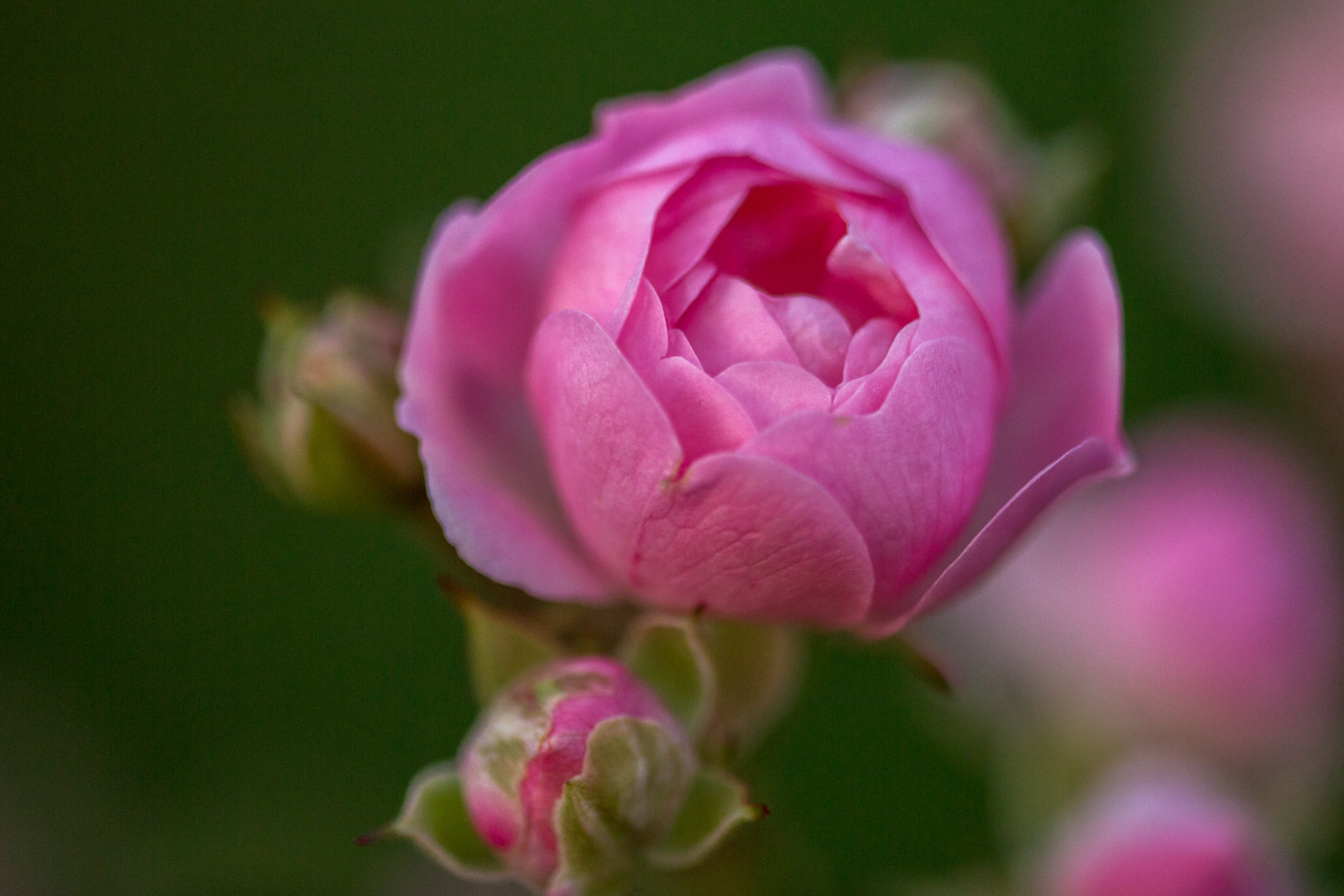 20141023175024 RD 75784