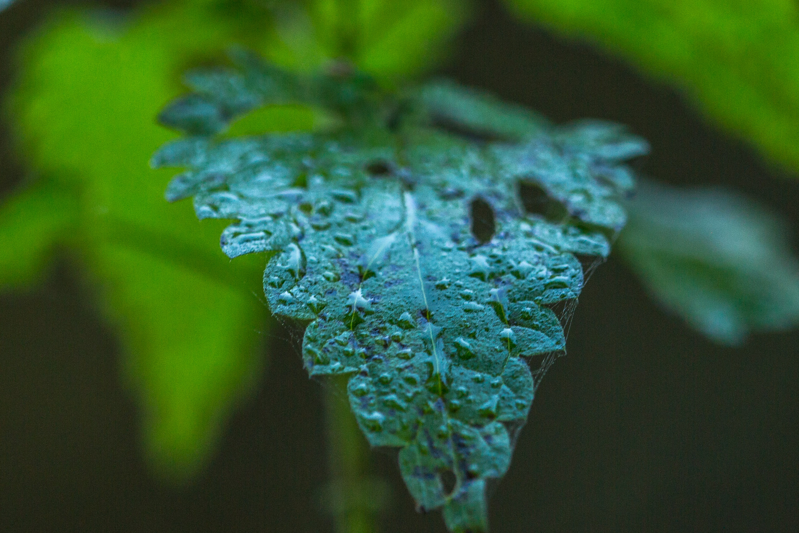 20141024093356 RD 75829