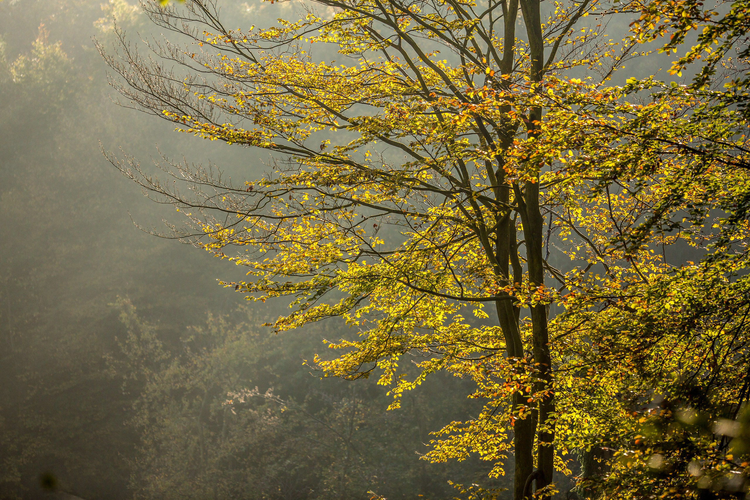 20141024094218 RD 75841