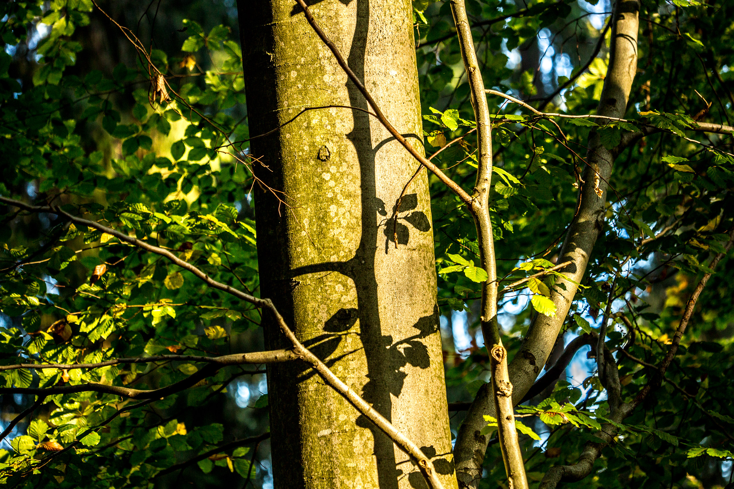 20141024094513 RD 75842