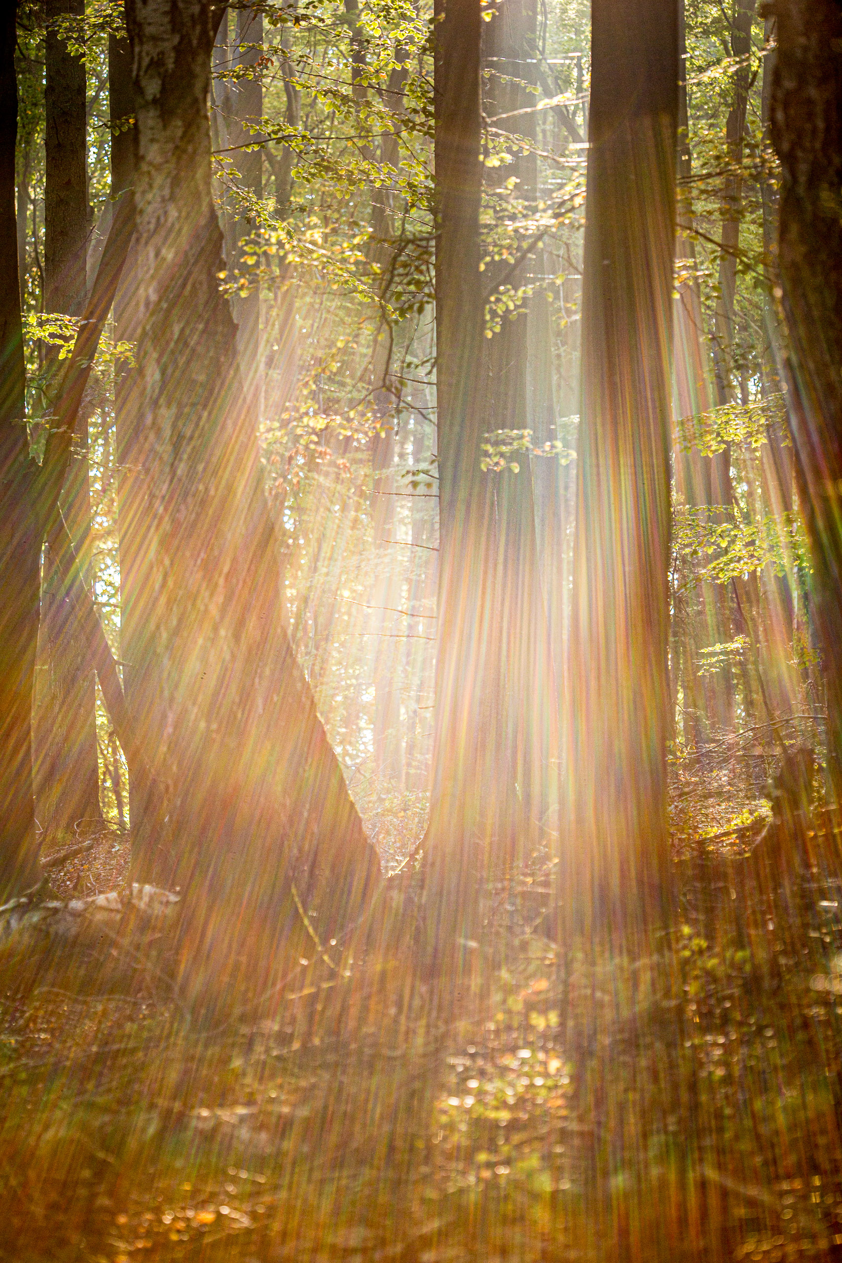 20141024094805 RD 75859