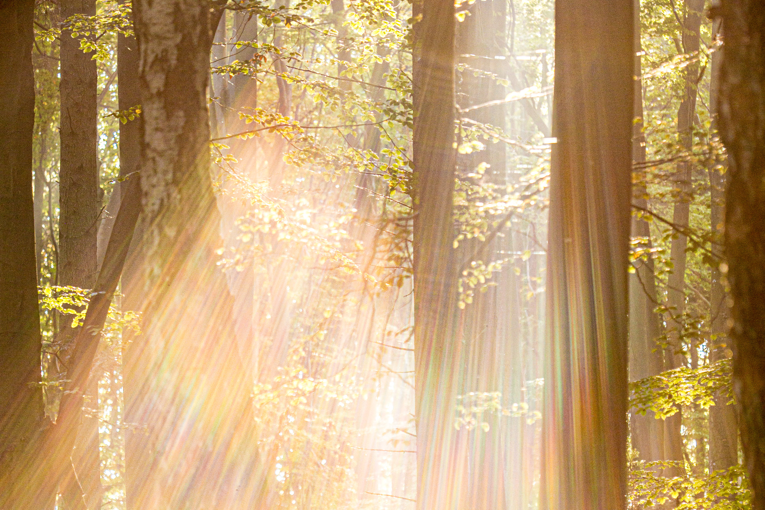 20141024094805 RD 75861