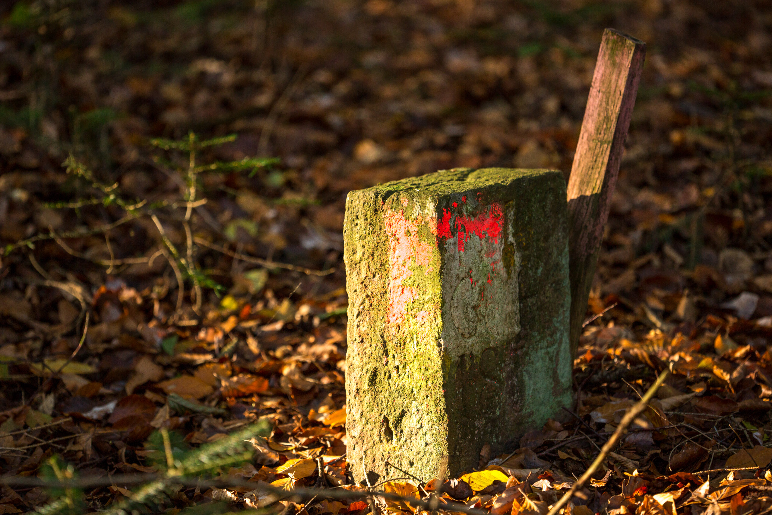 20141024095537 RD 75879