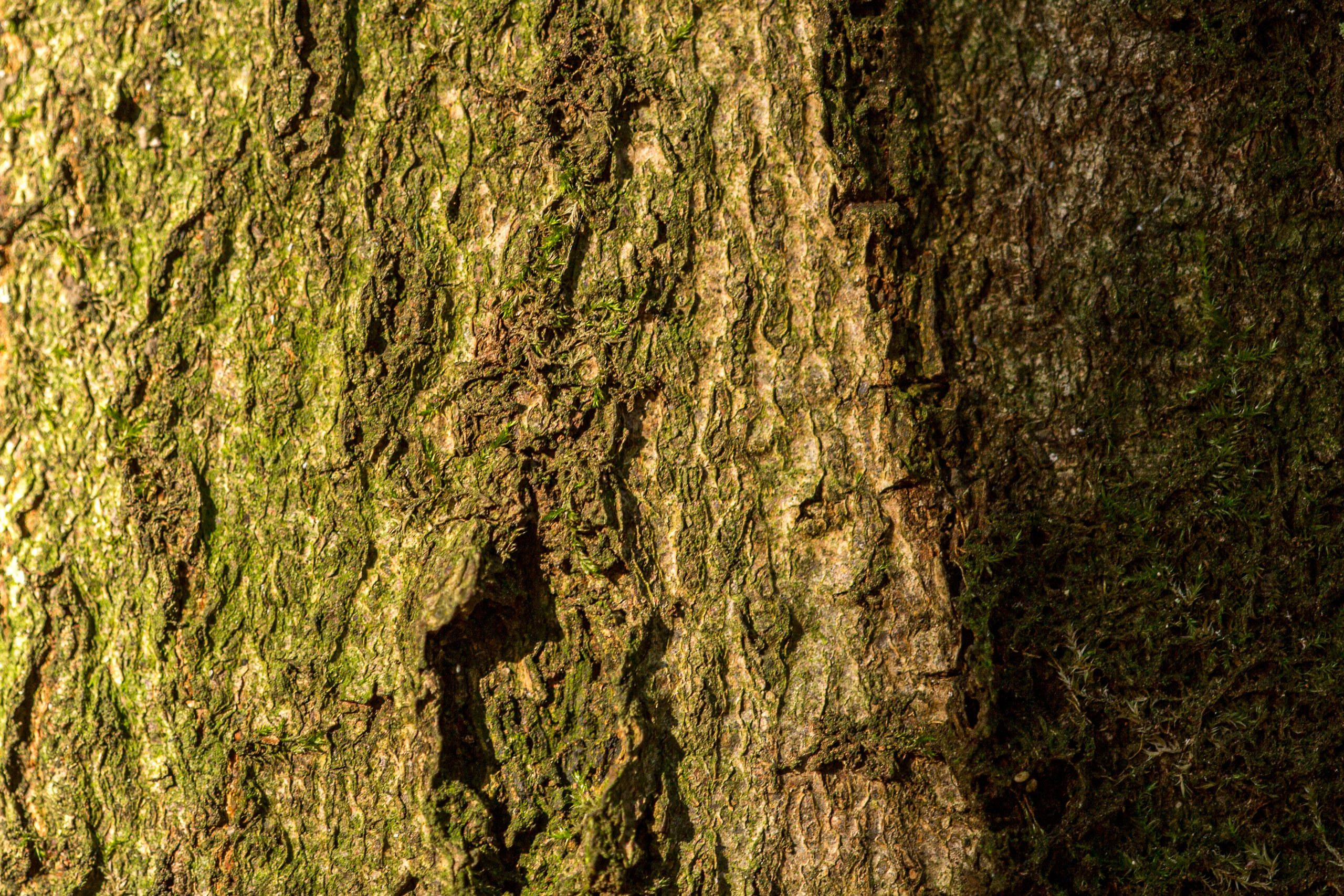 20141024095635 RD 75880