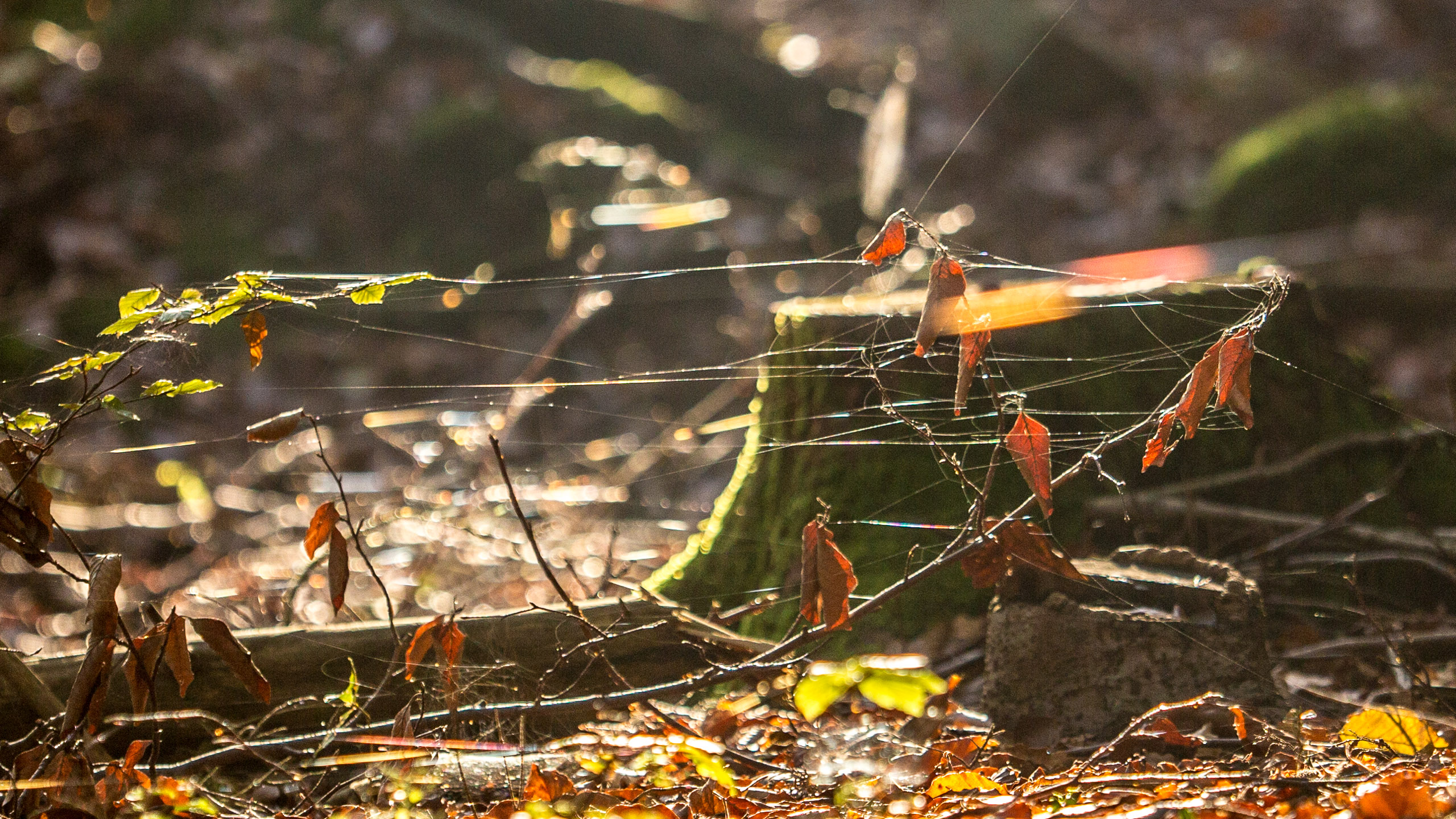 20141024095818 RD 75896