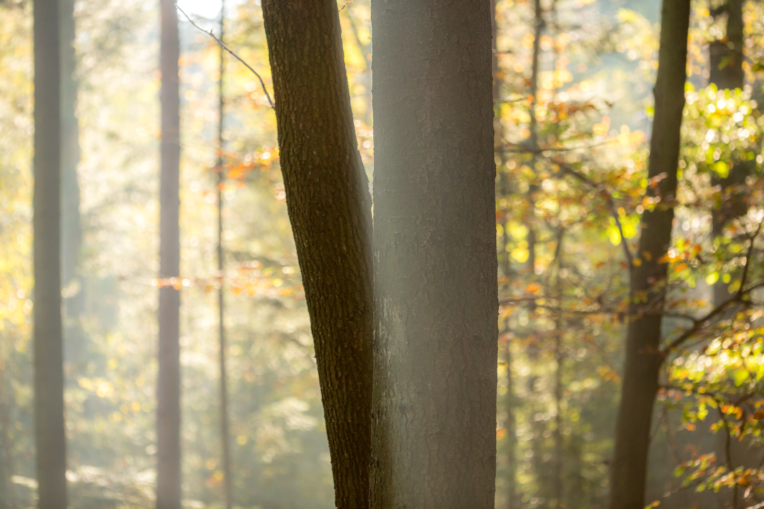 20141024100005 RD 75909