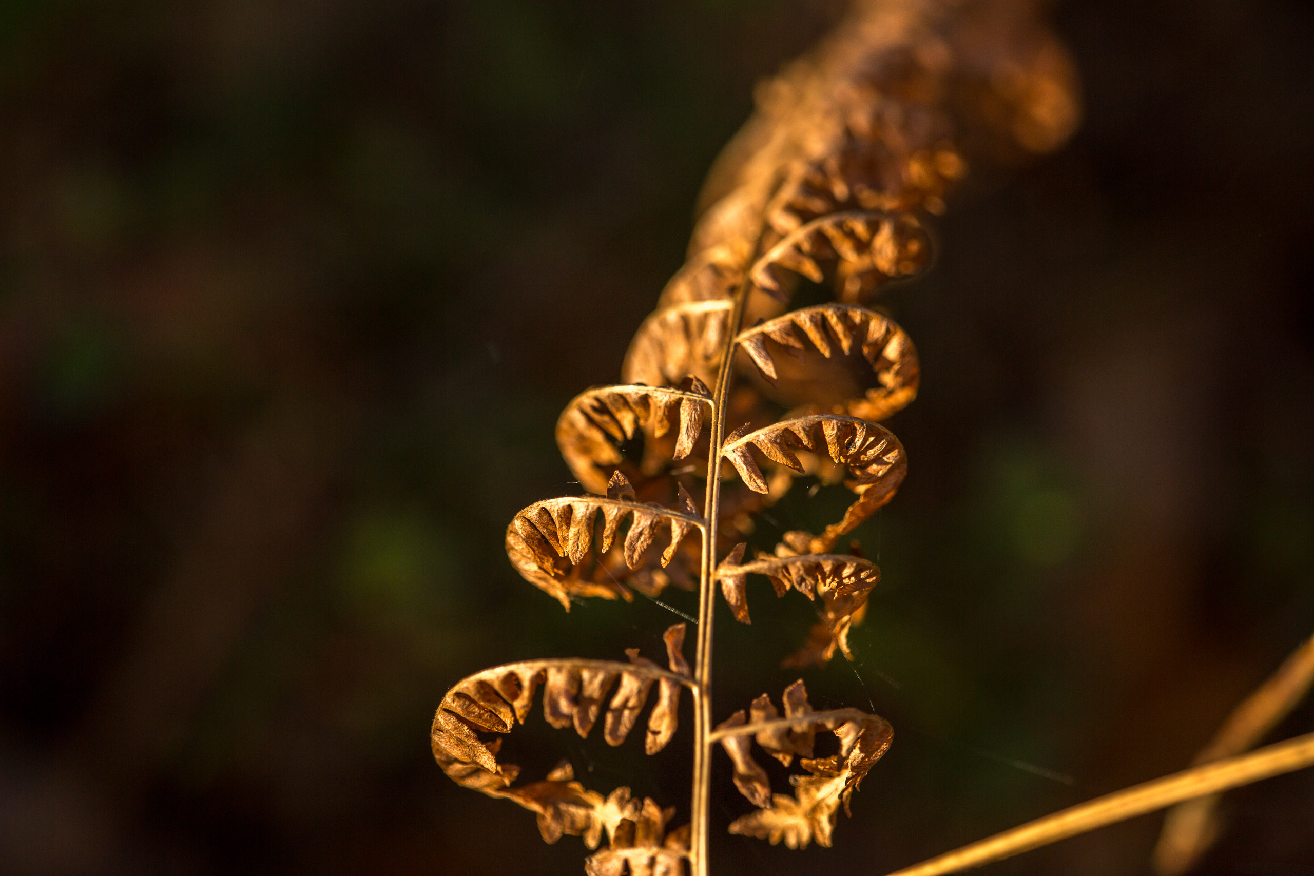 20141024100301 RD 75924